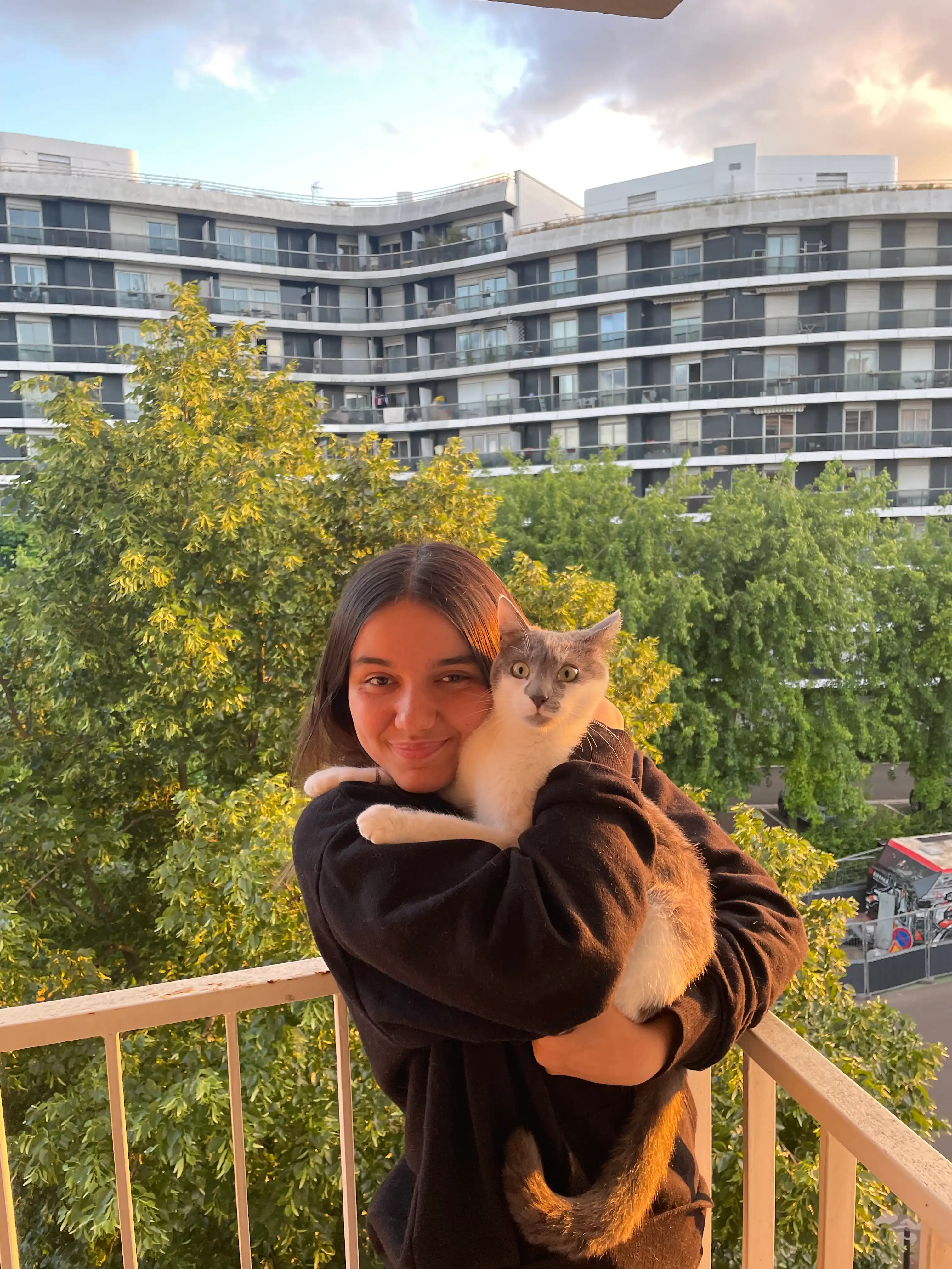 image-6