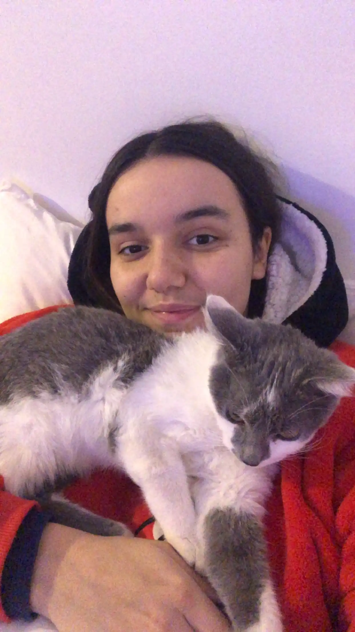 image-8