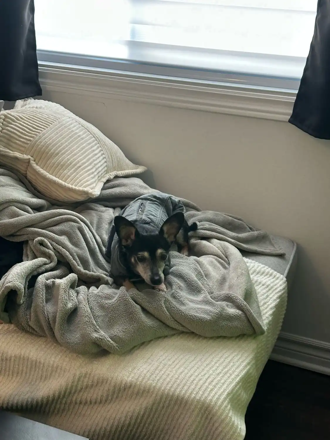 image-15