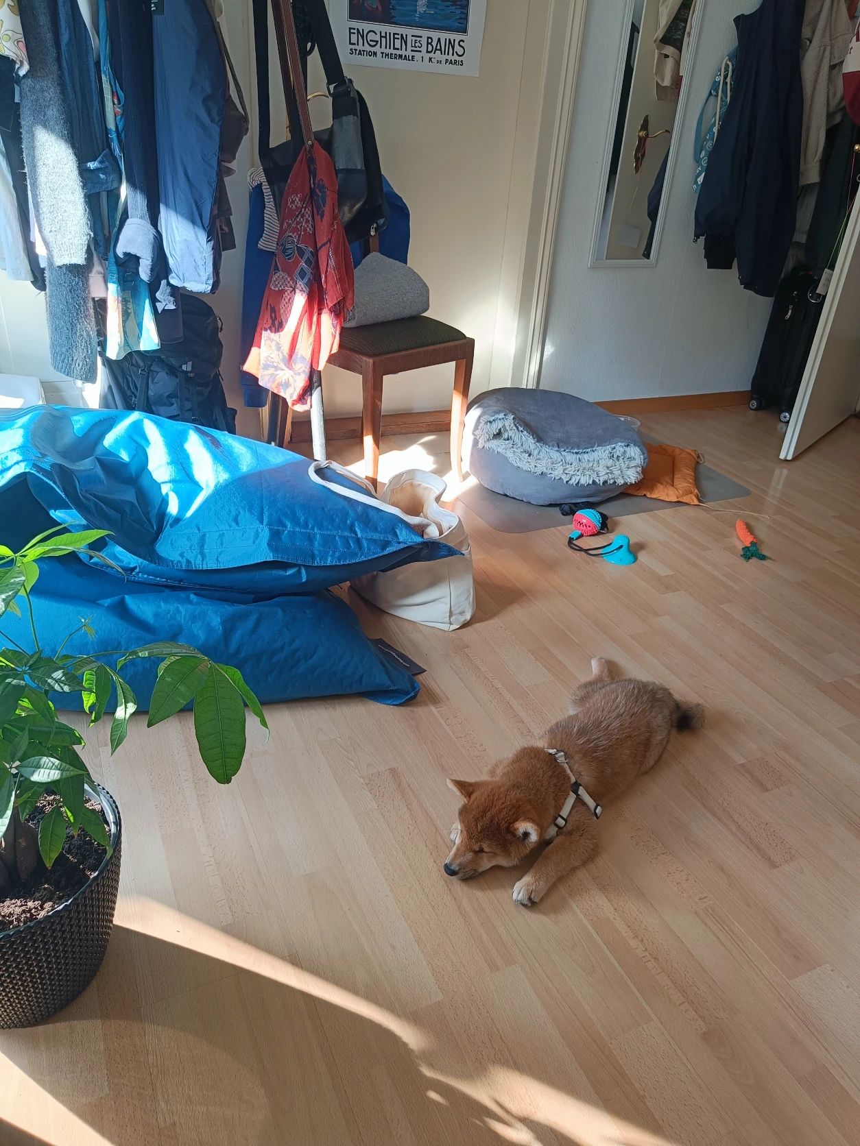 image-15