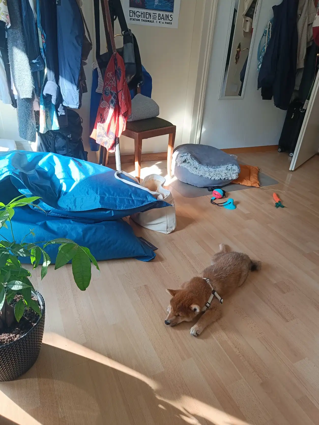 image-15