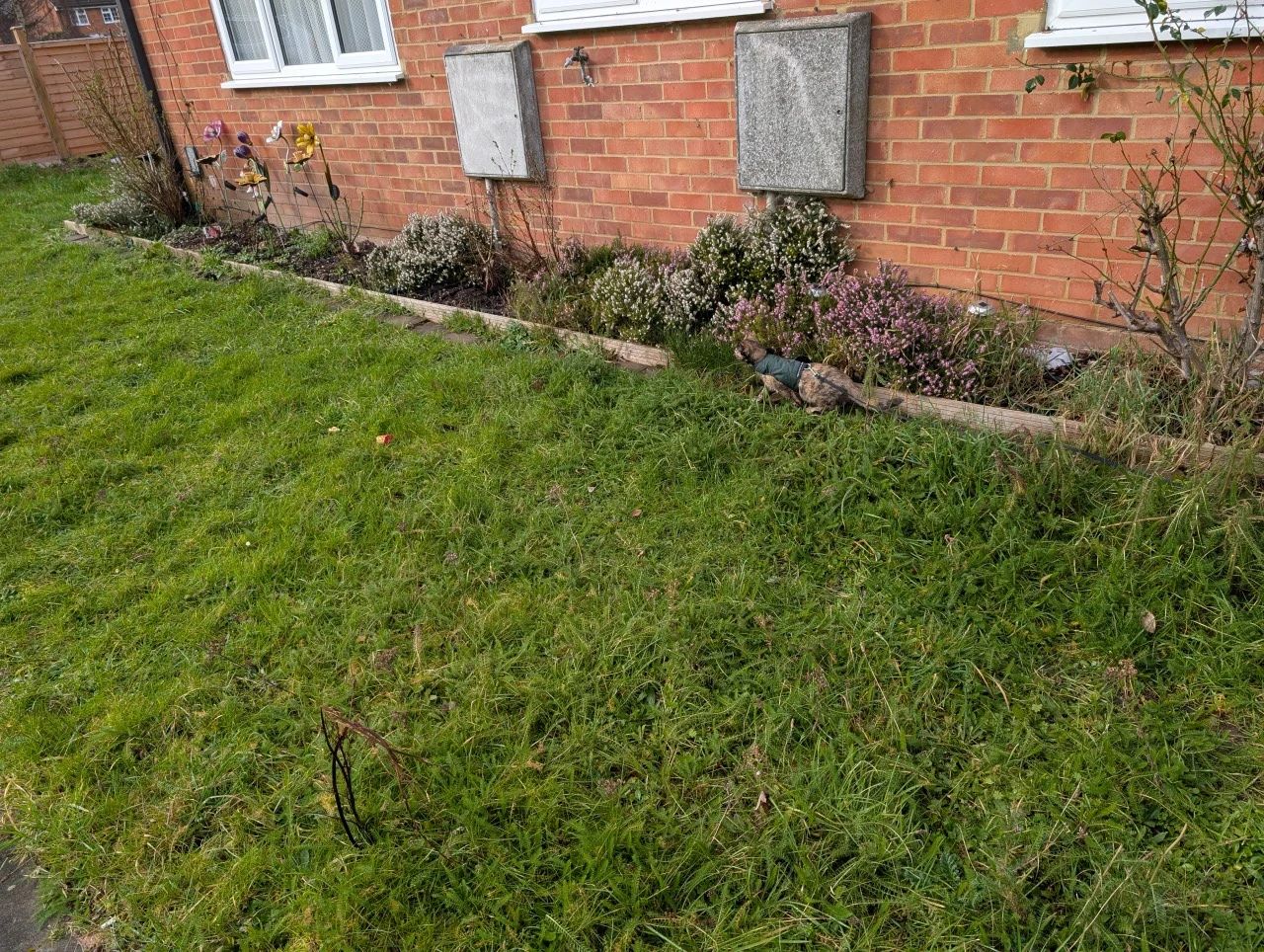 image-19