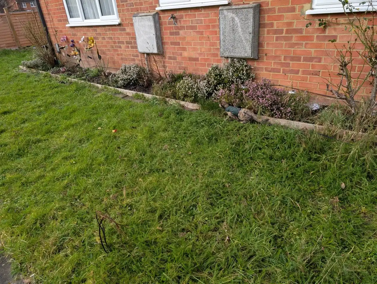 image-19