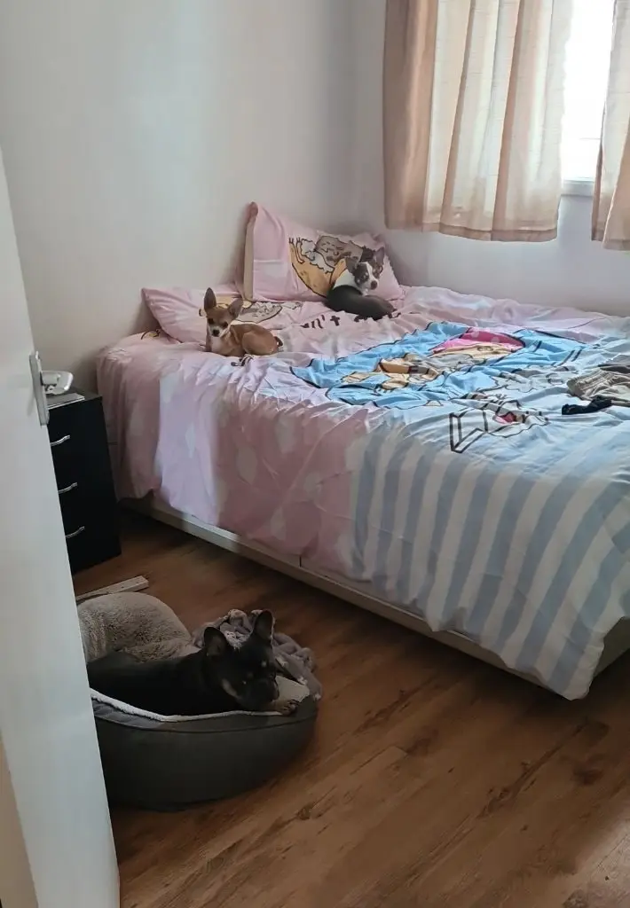 image-3