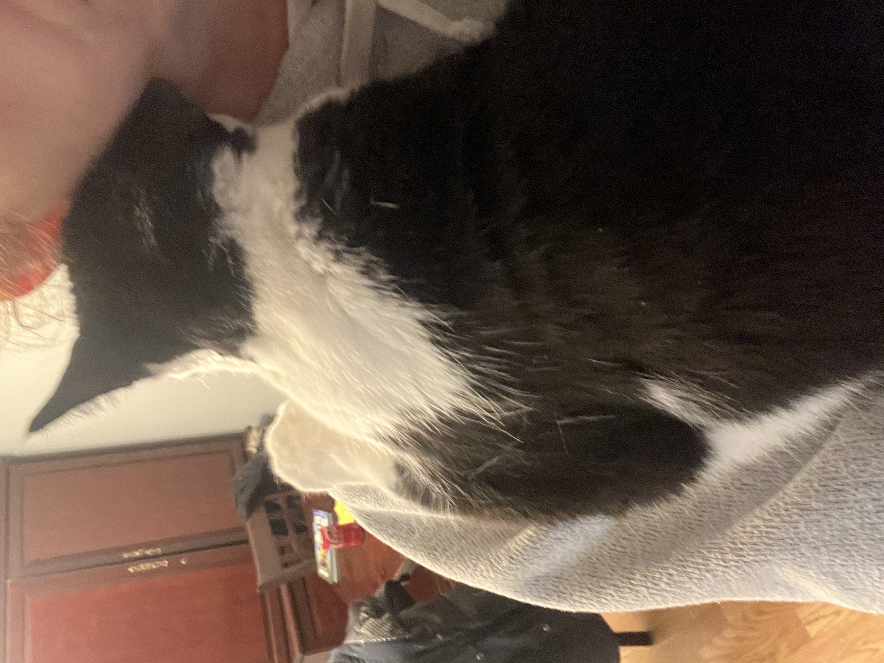 image-3