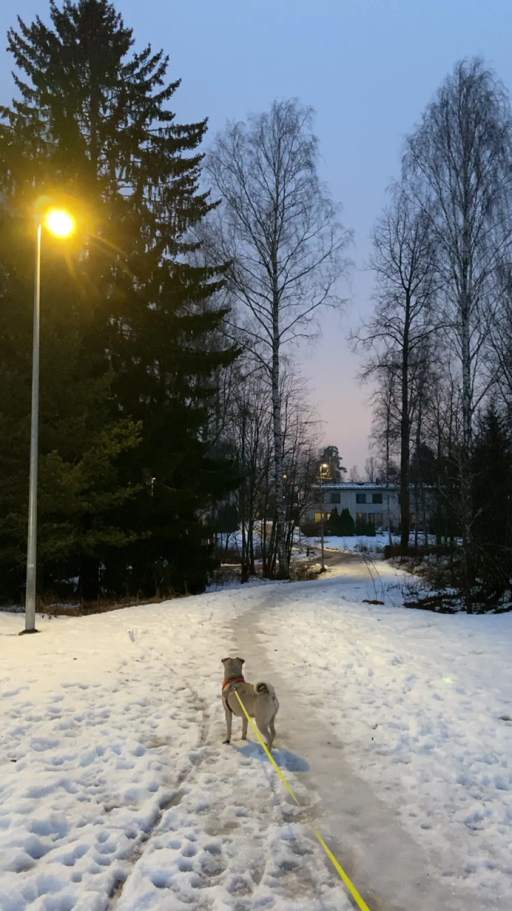 image-4