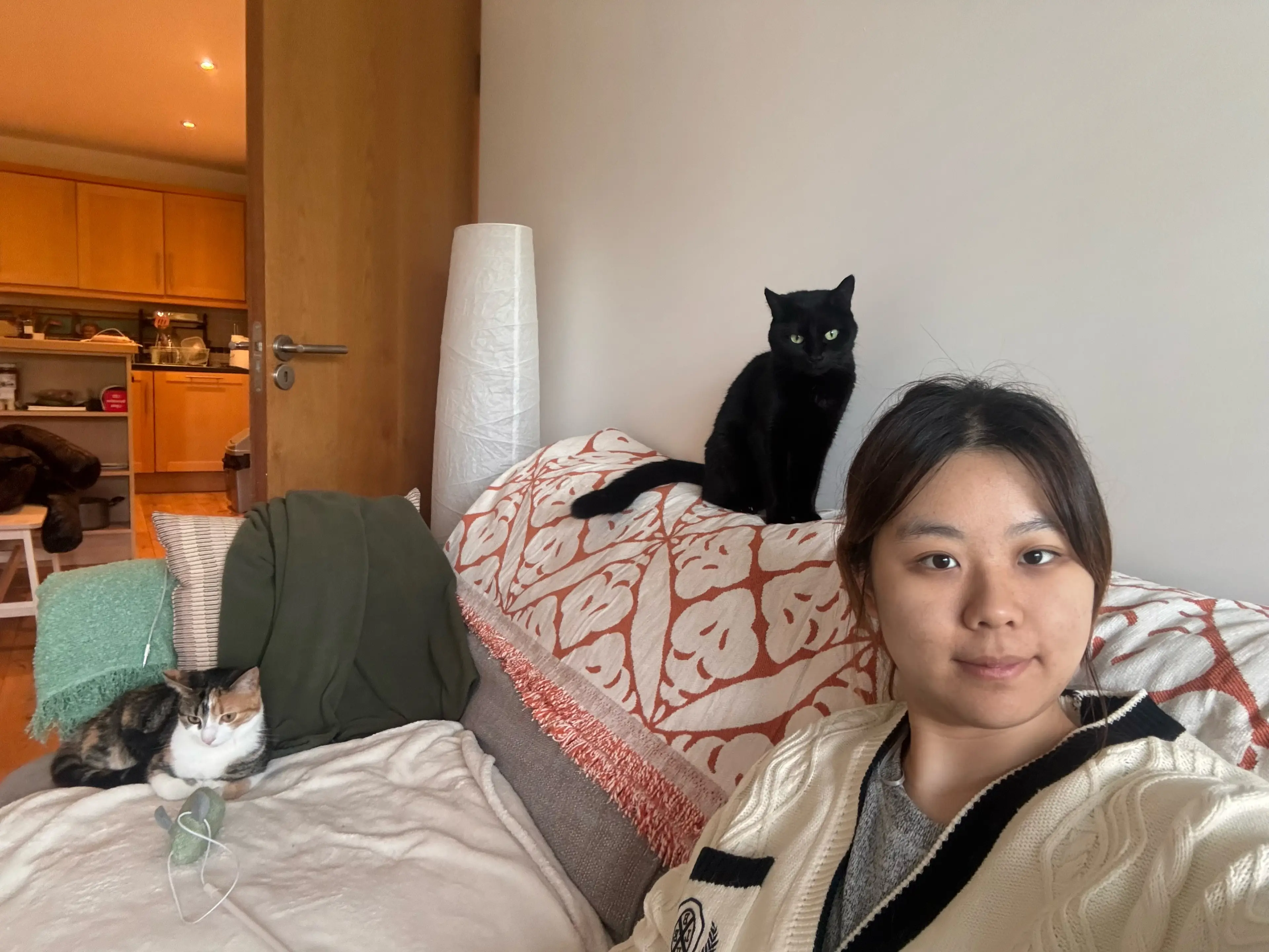 image-3