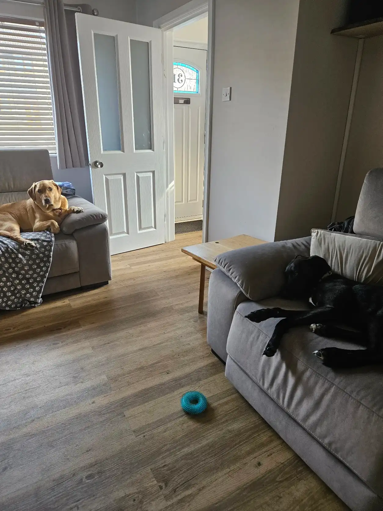 image-13