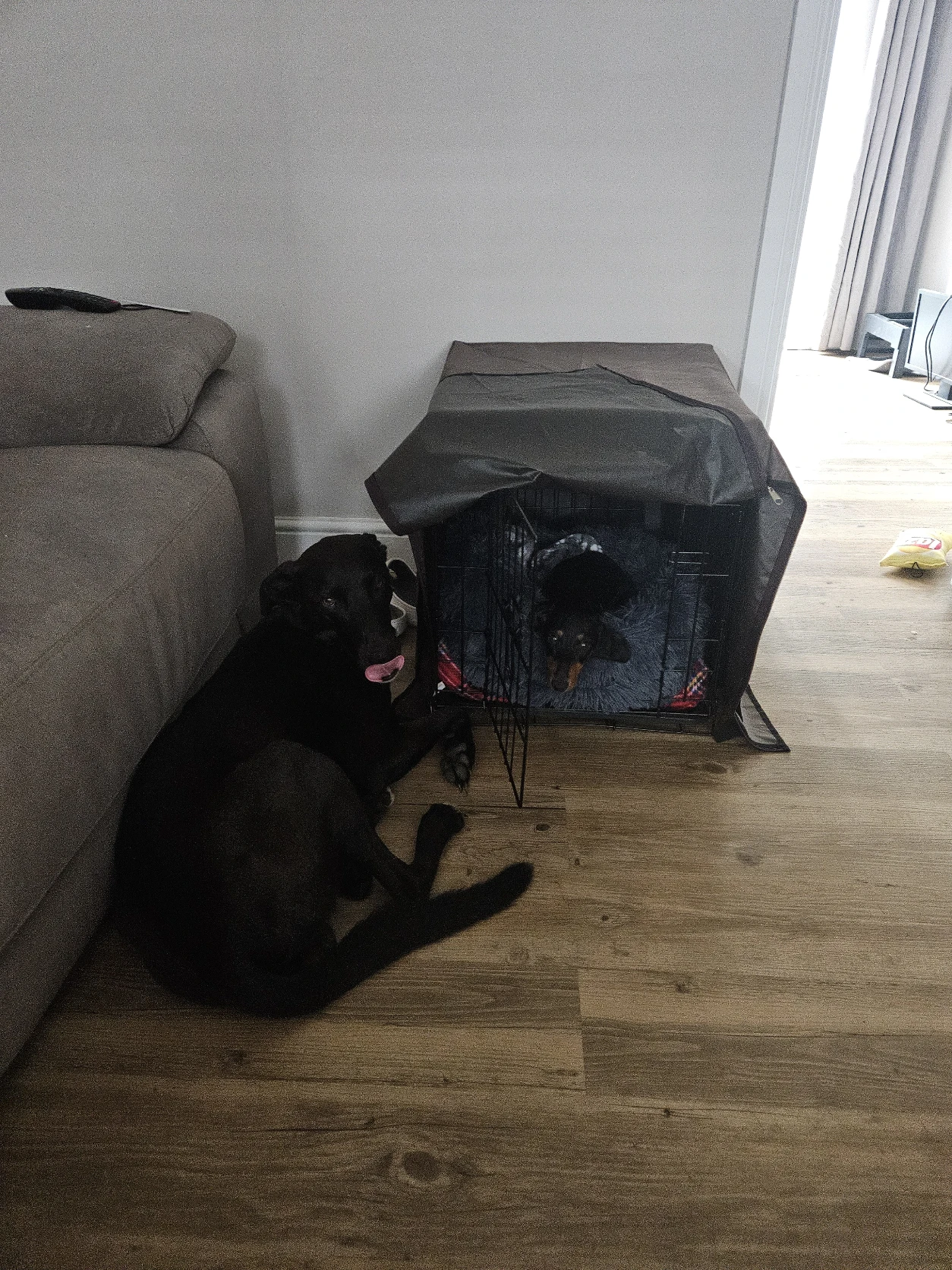 image-15