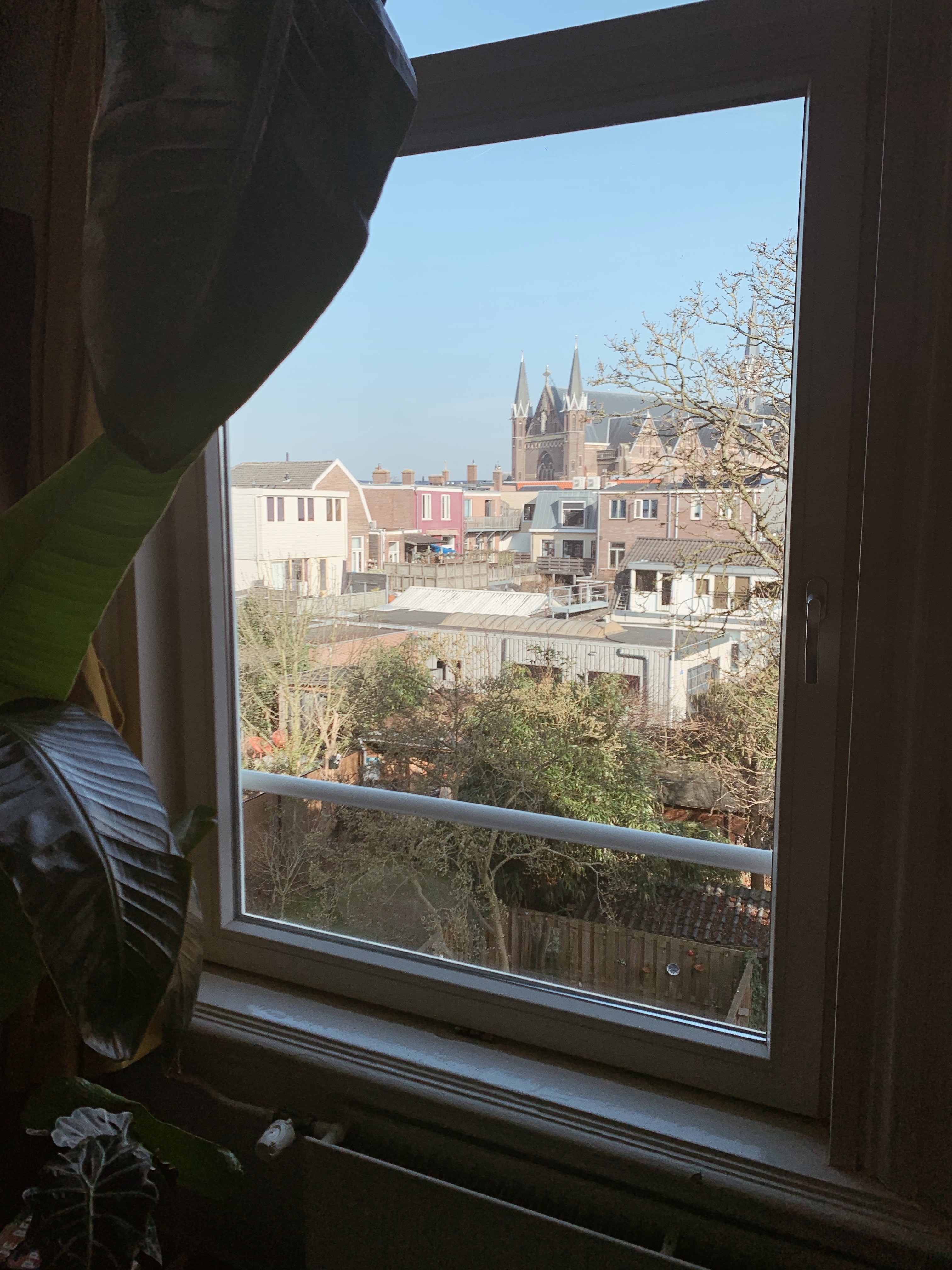 image-12