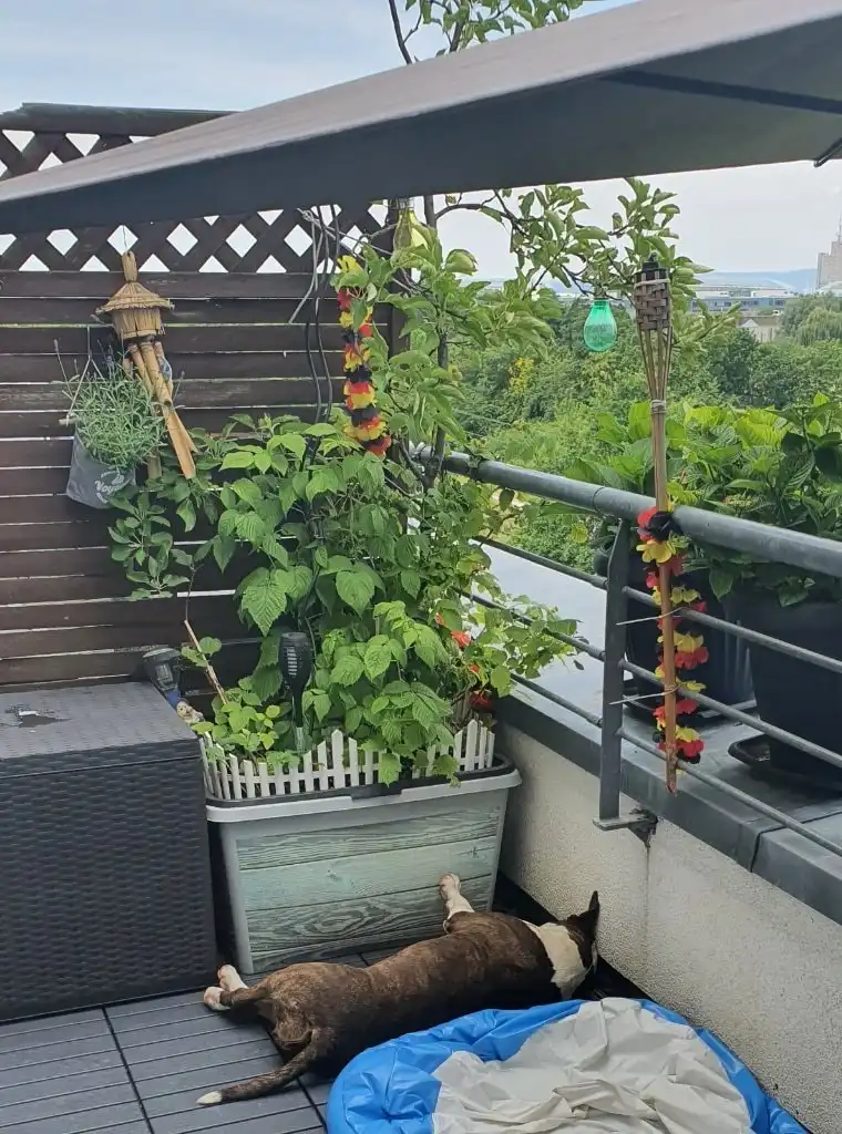 image-5