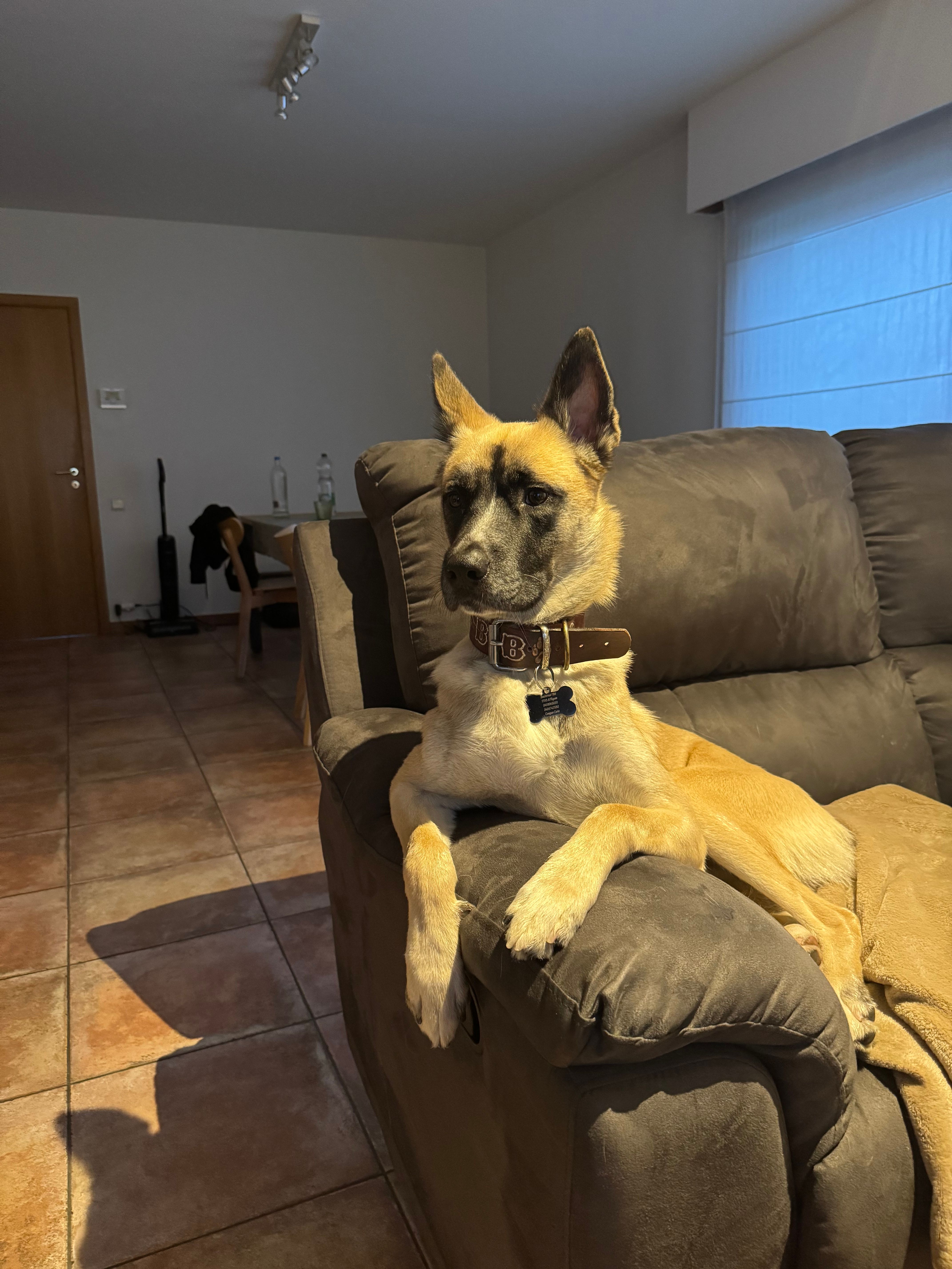 image-38