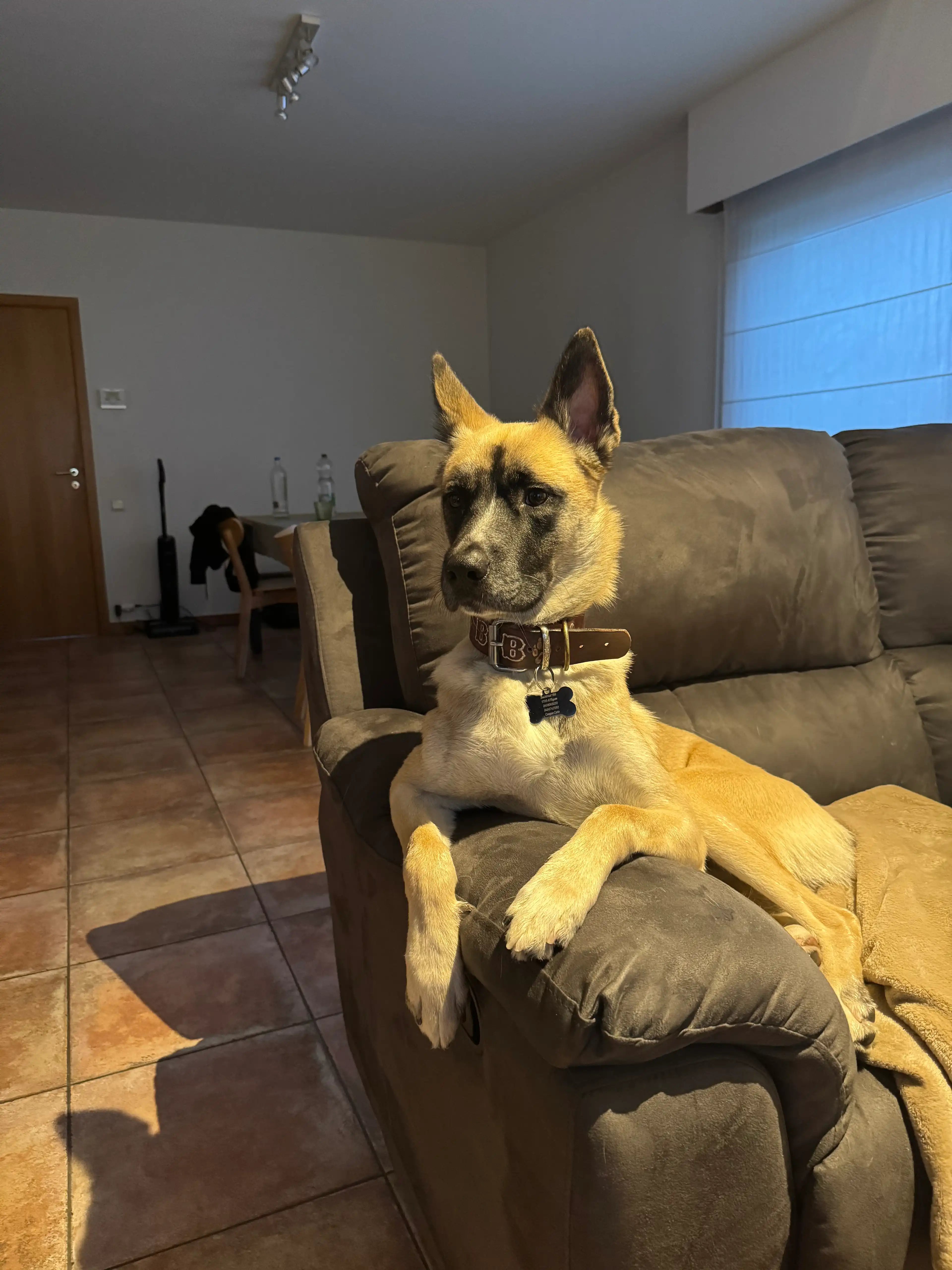 image-38