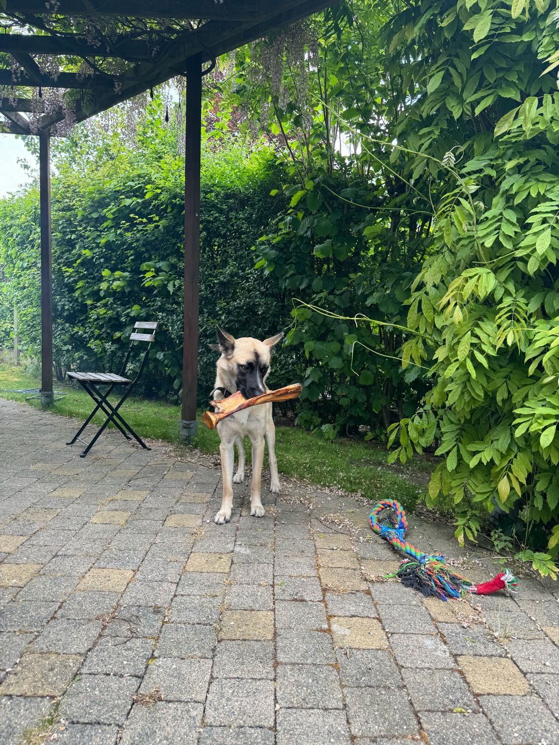 image-12