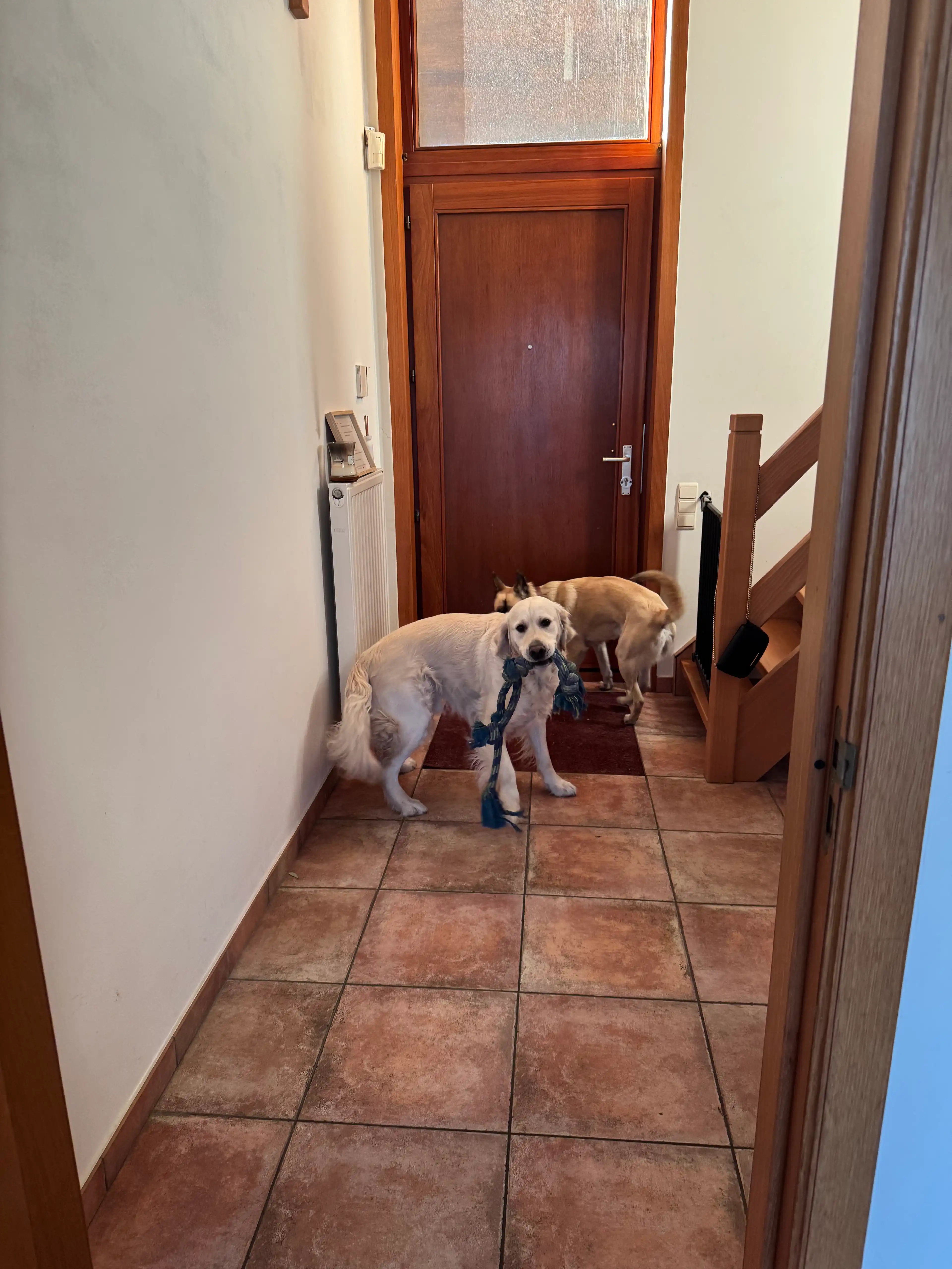 image-26