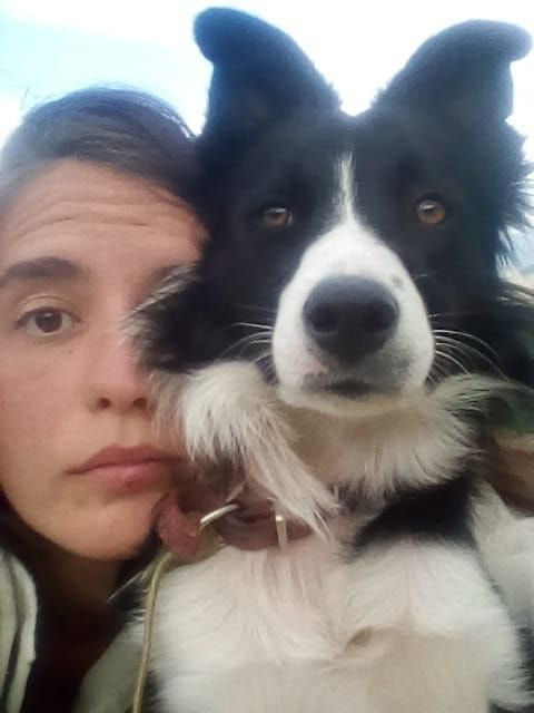 image-7