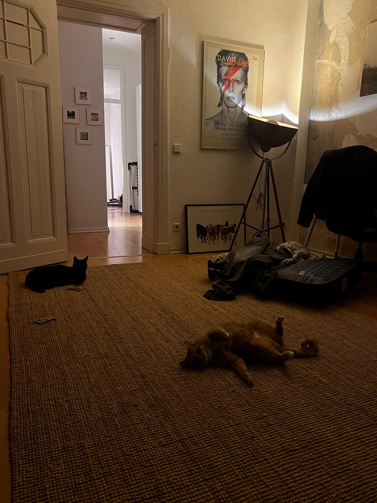 image-10