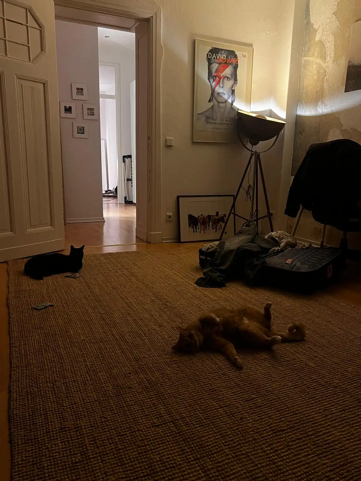 image-10