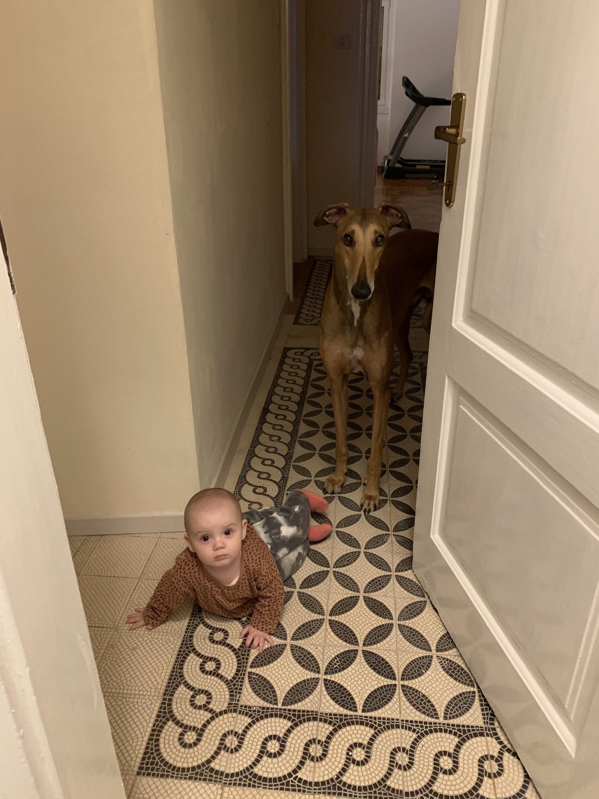 image-9