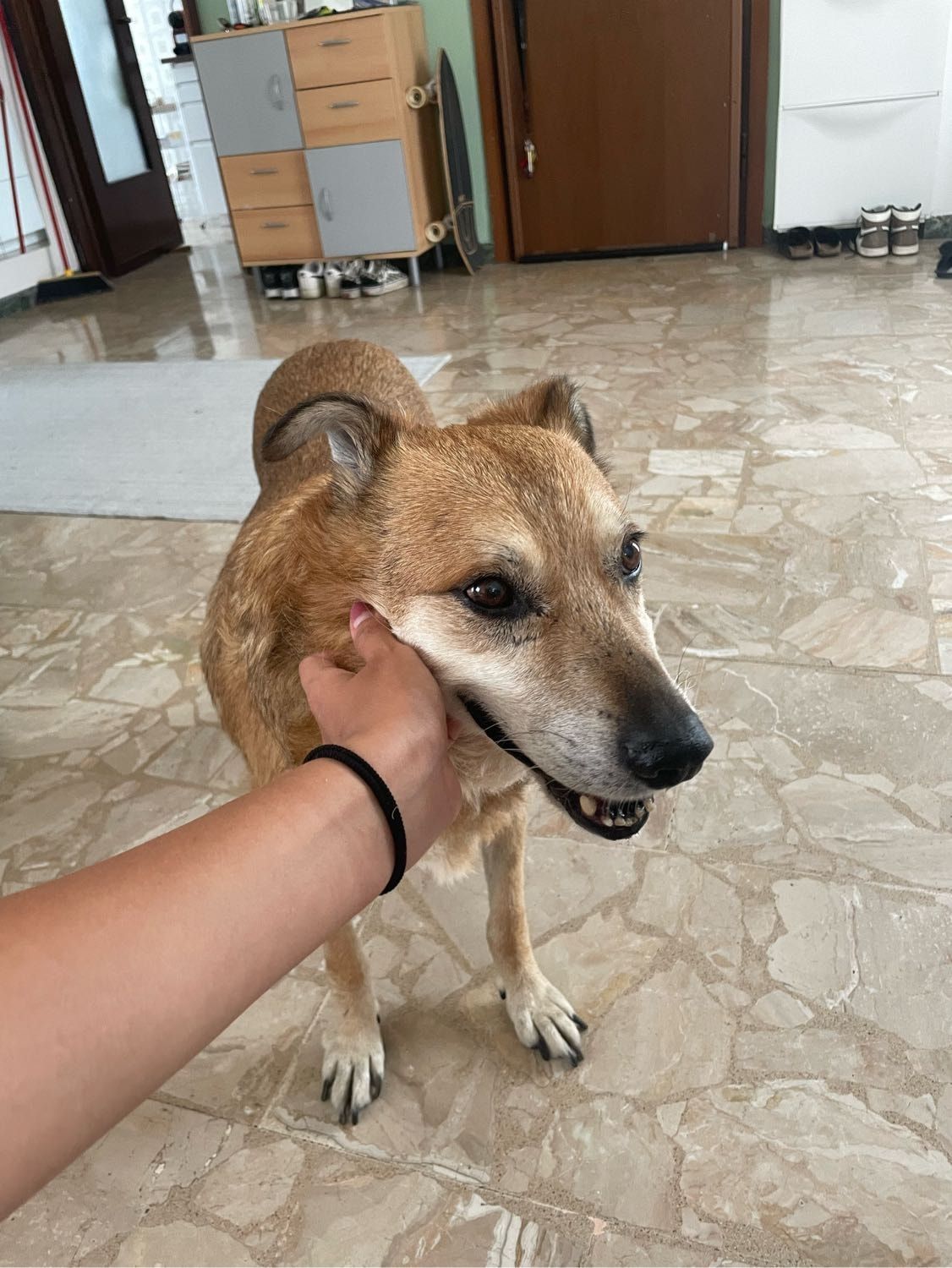 image-12
