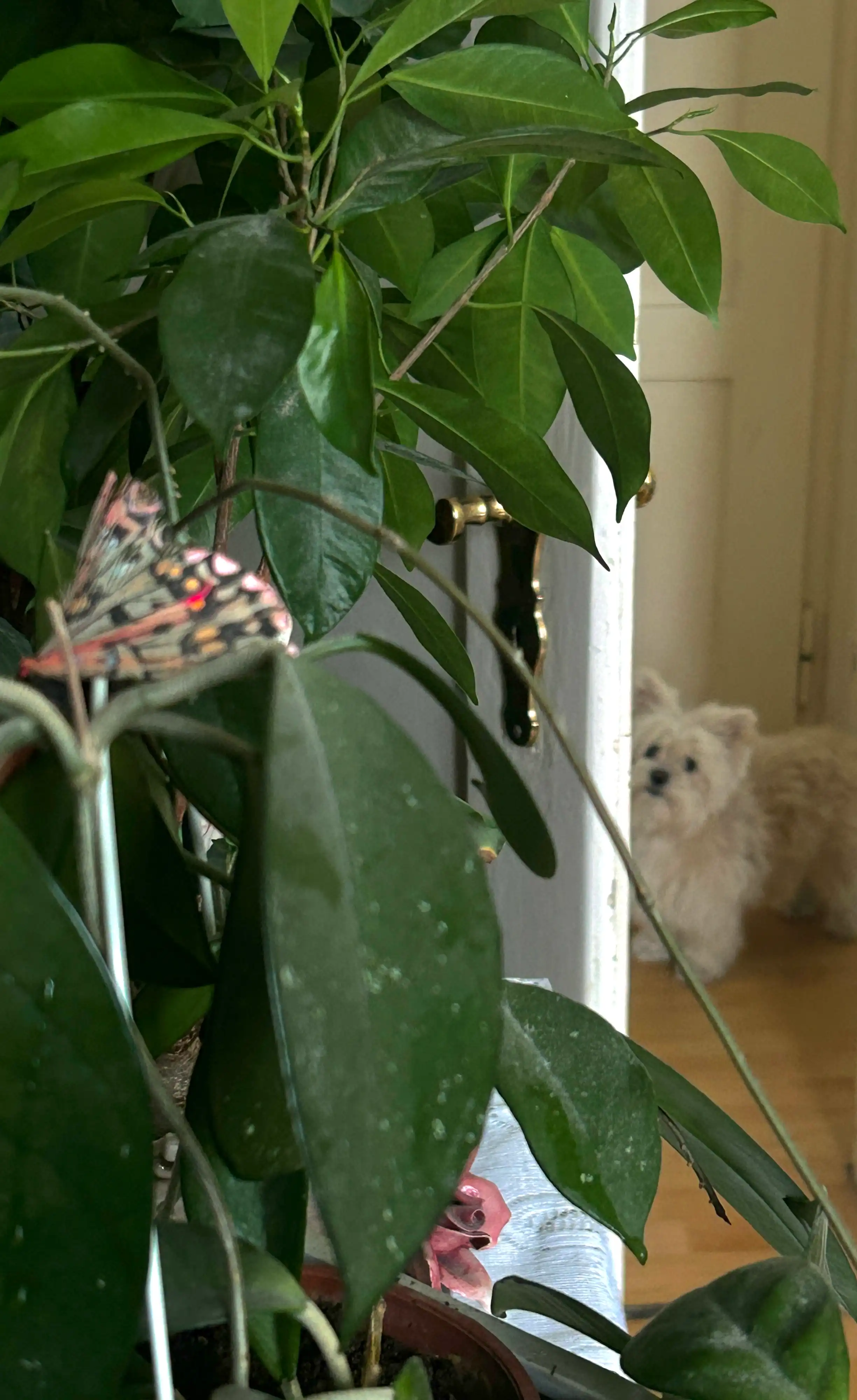 image-8