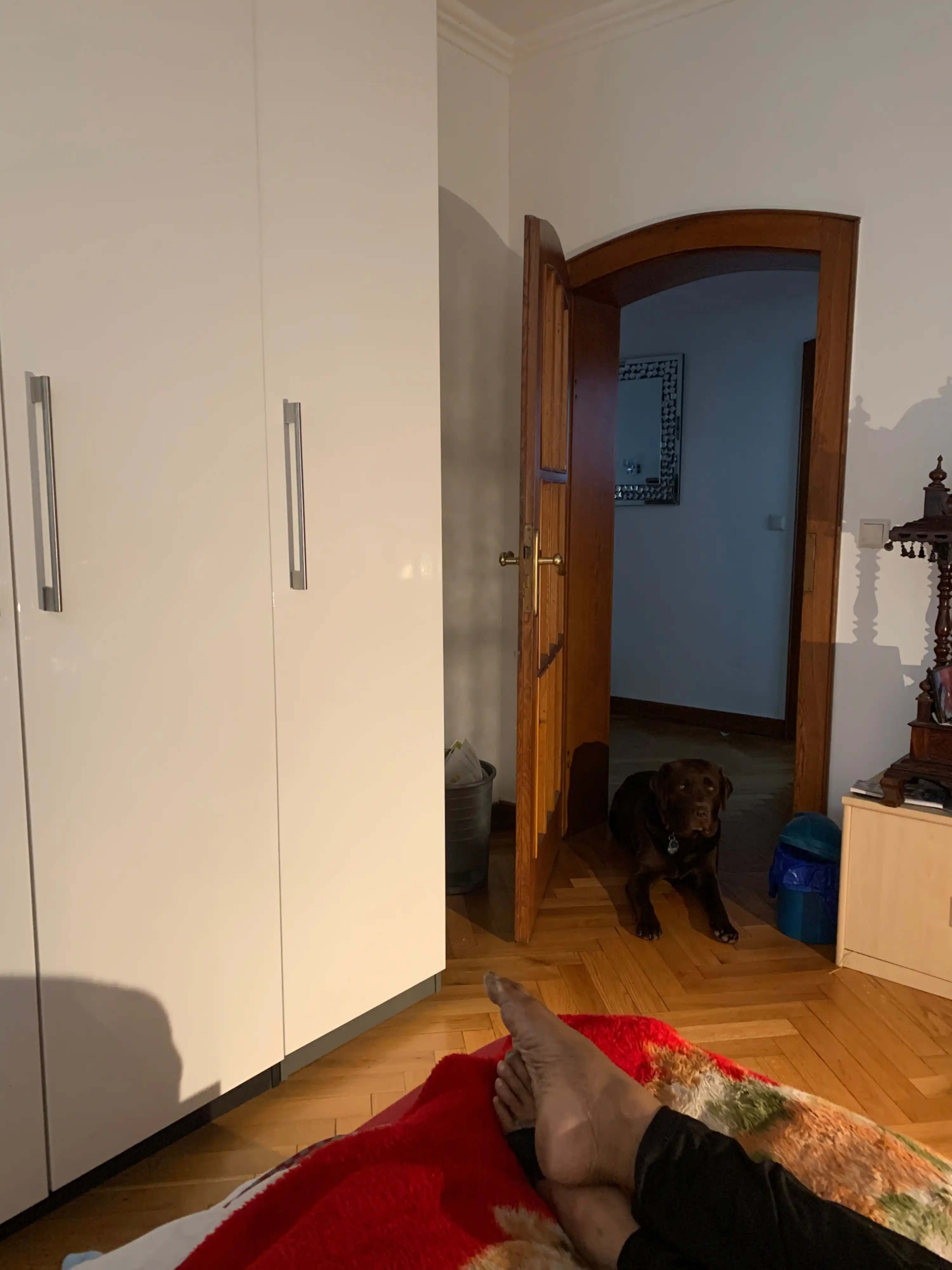 image-6
