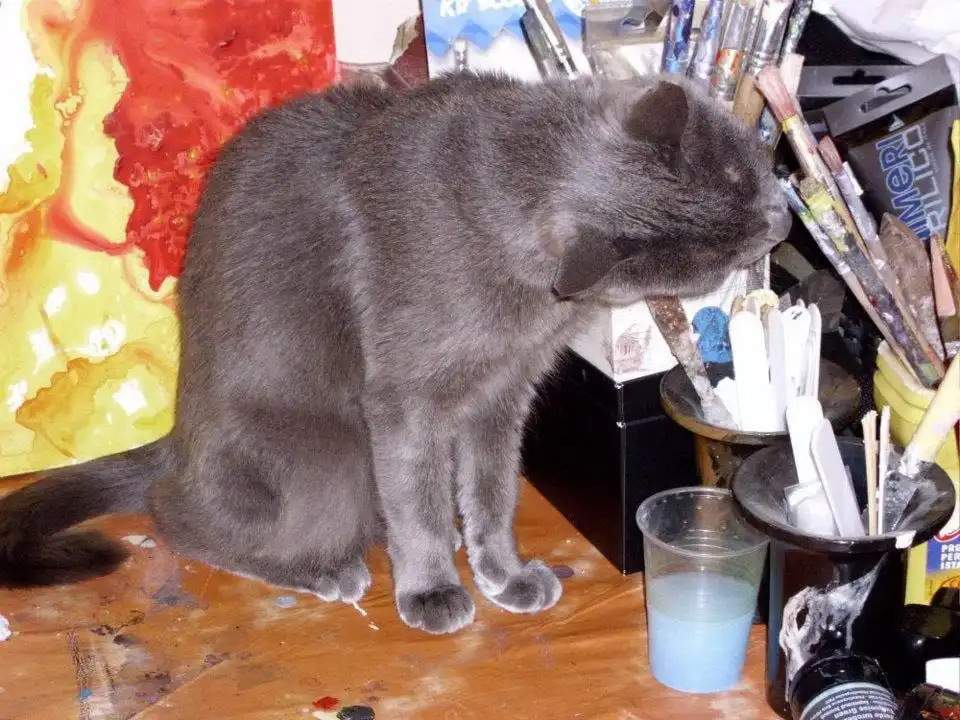 image-11