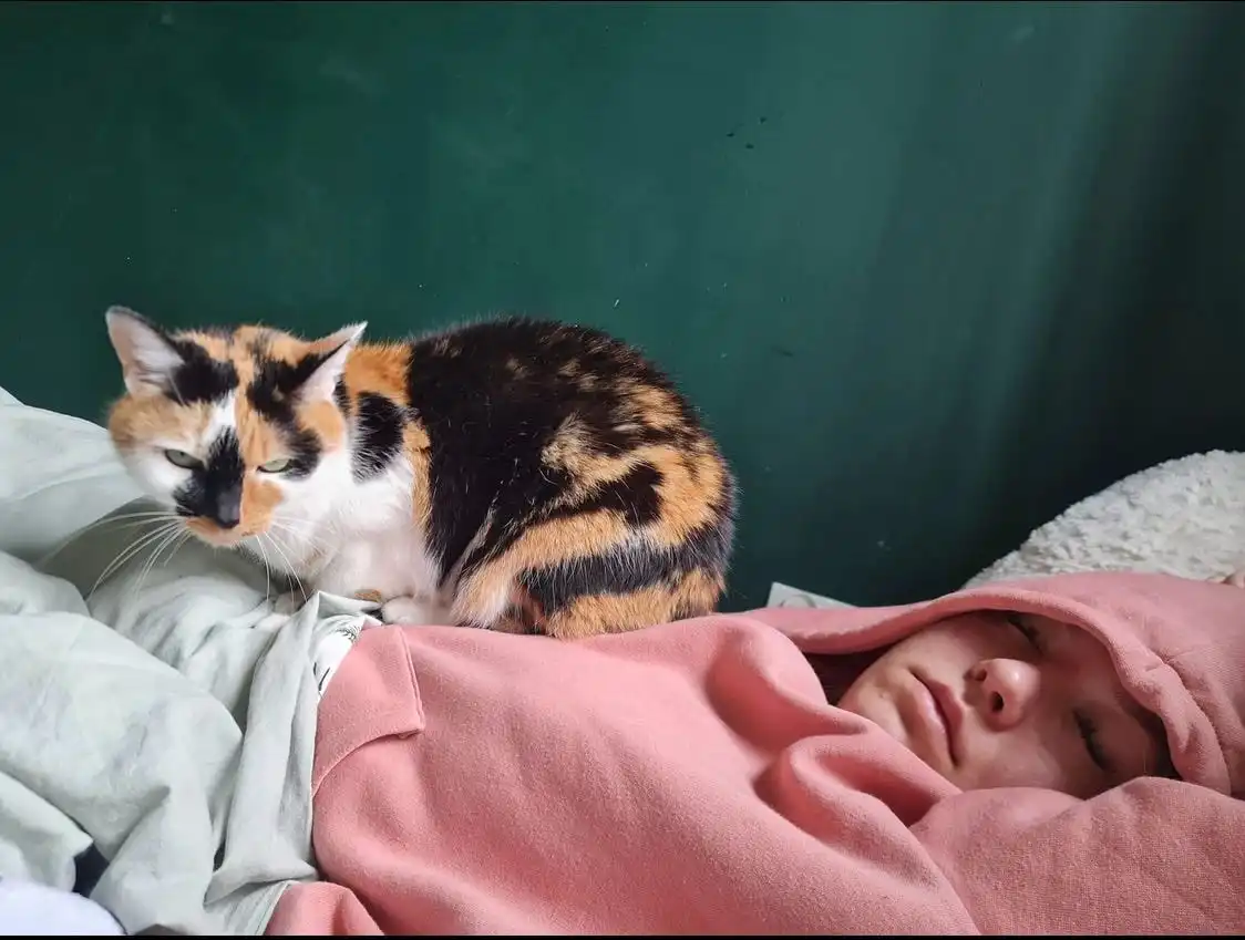 image-16