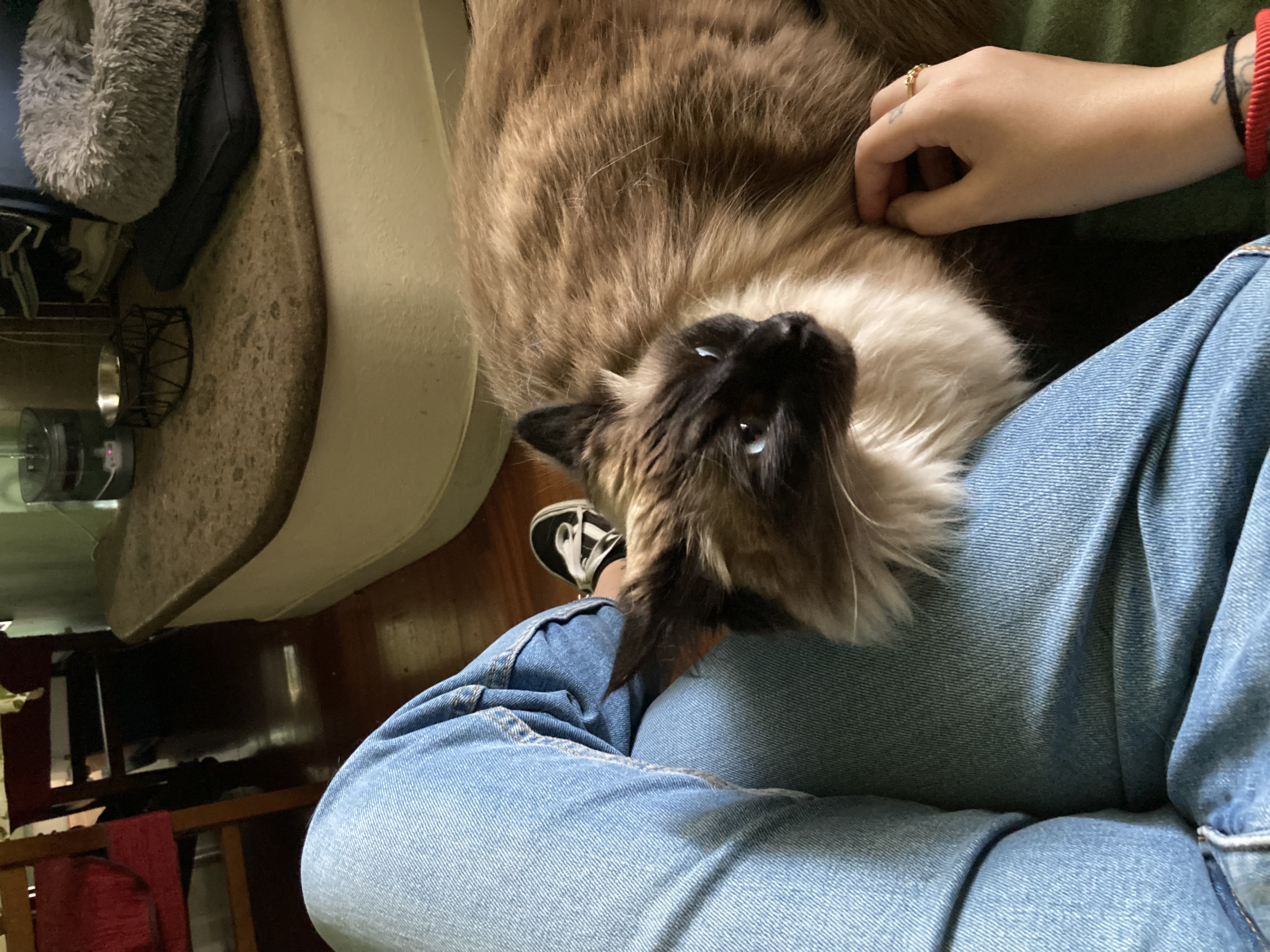 image-8