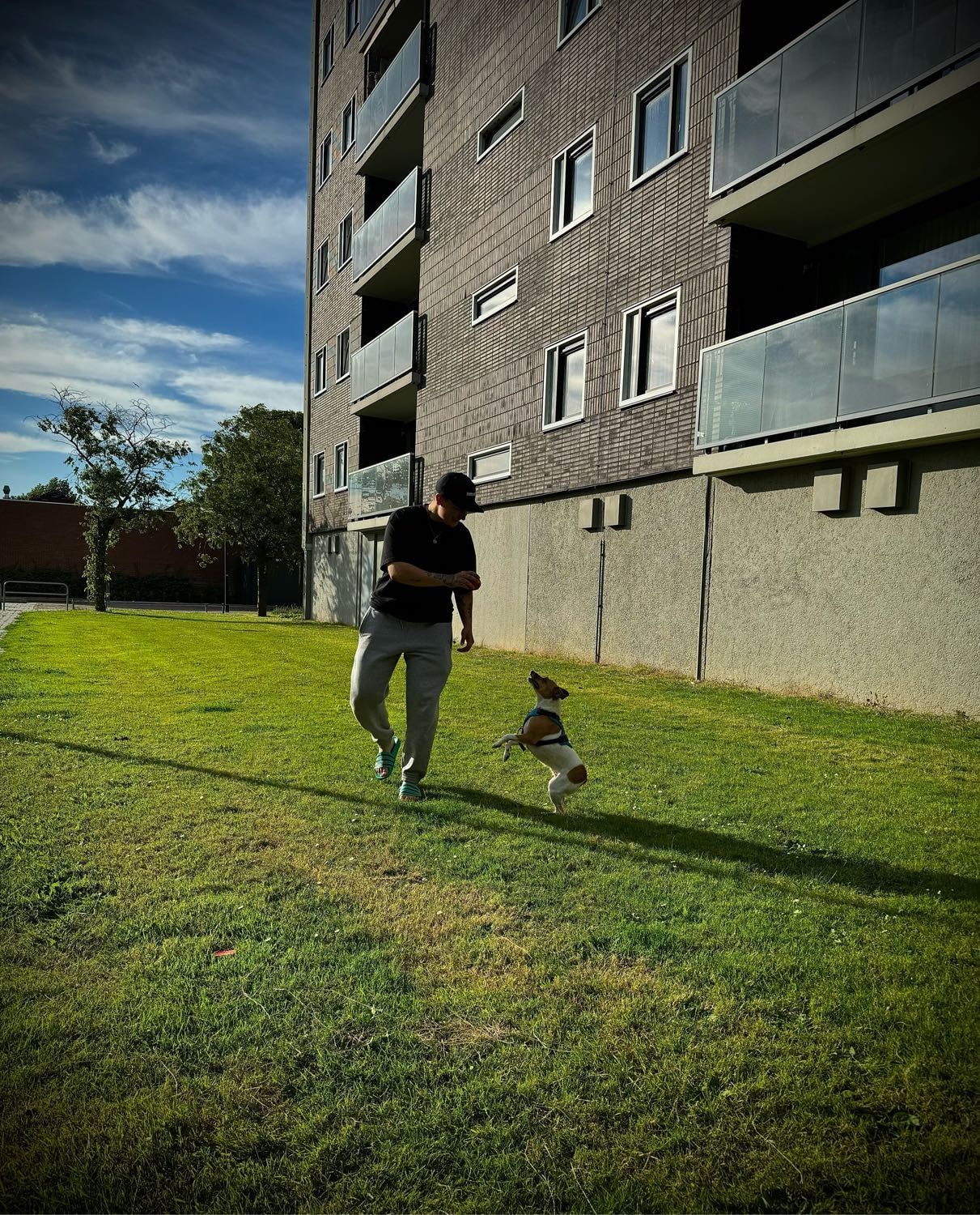image-1