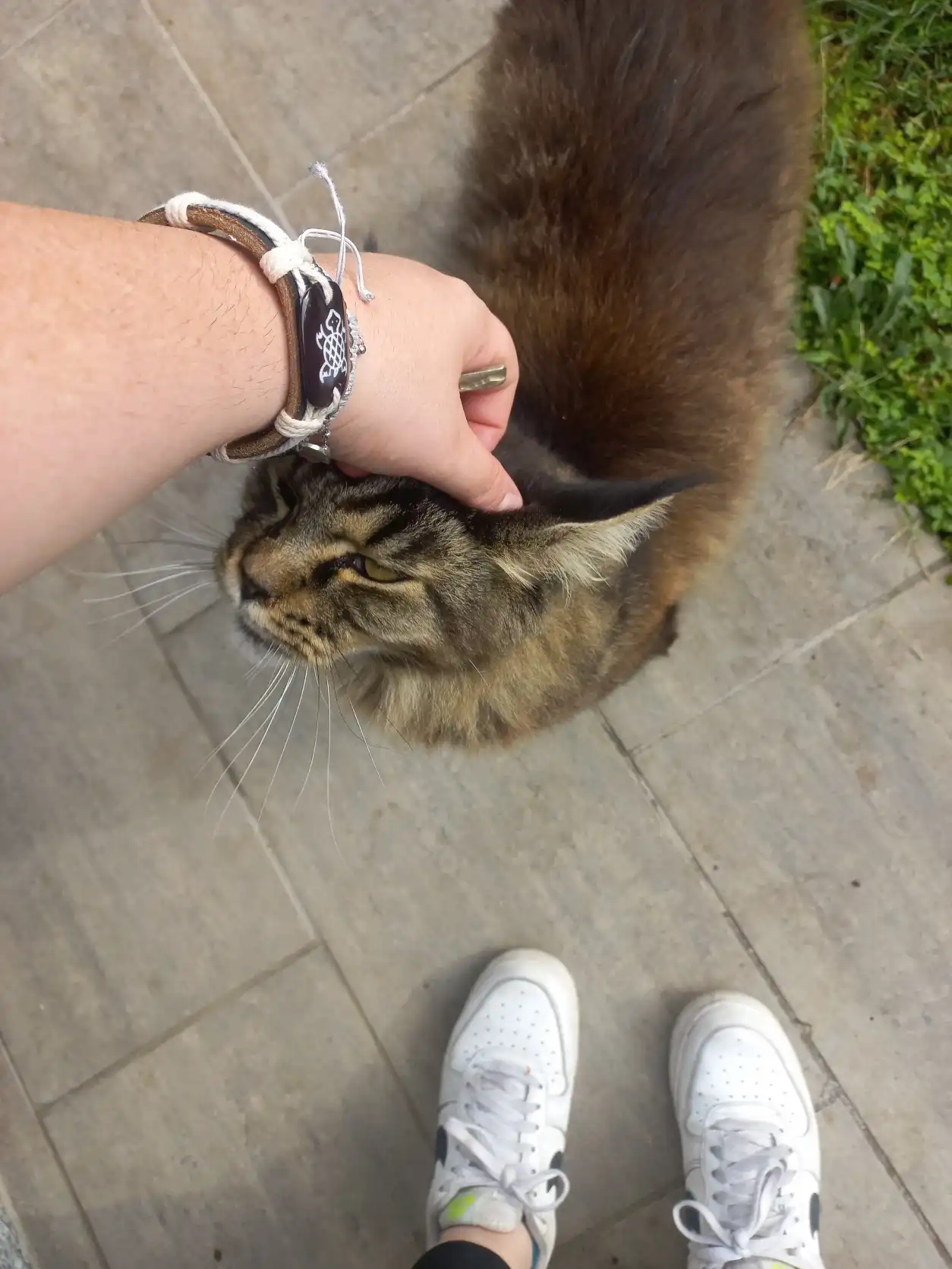 image-7