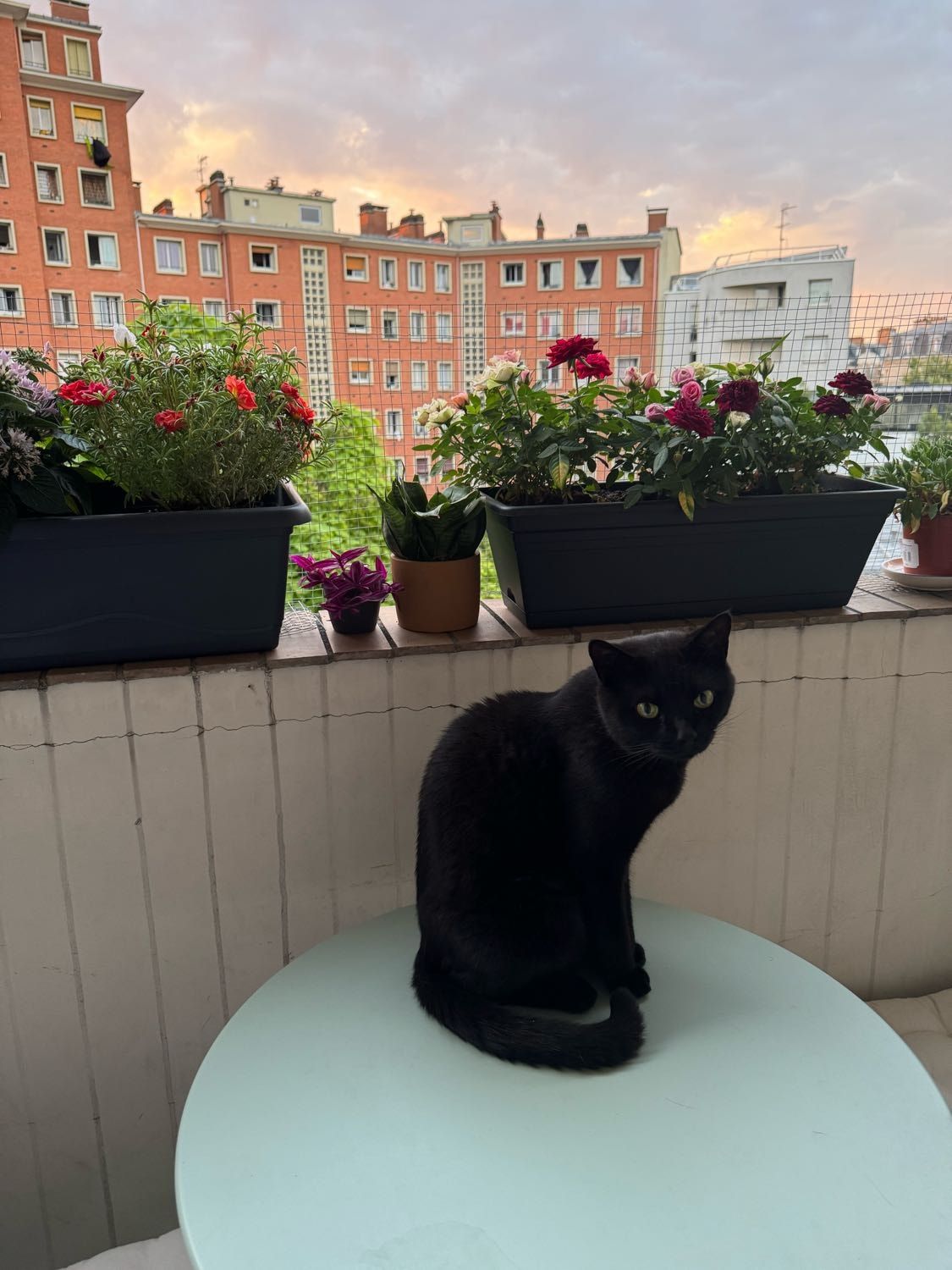 image-11