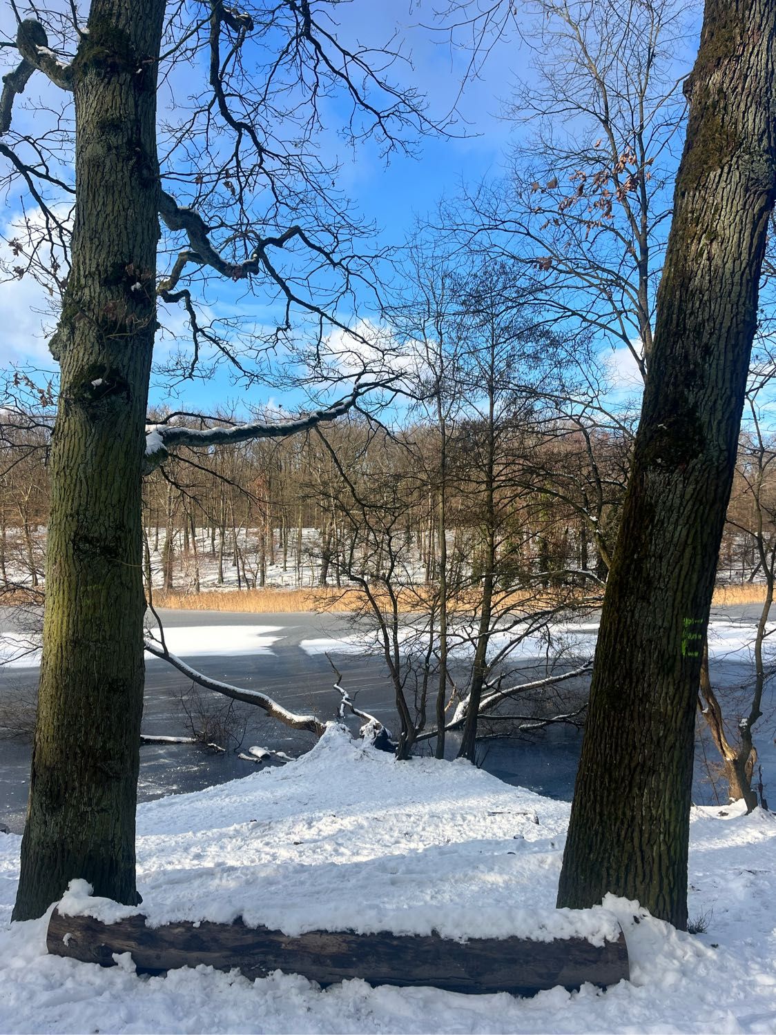 image-4