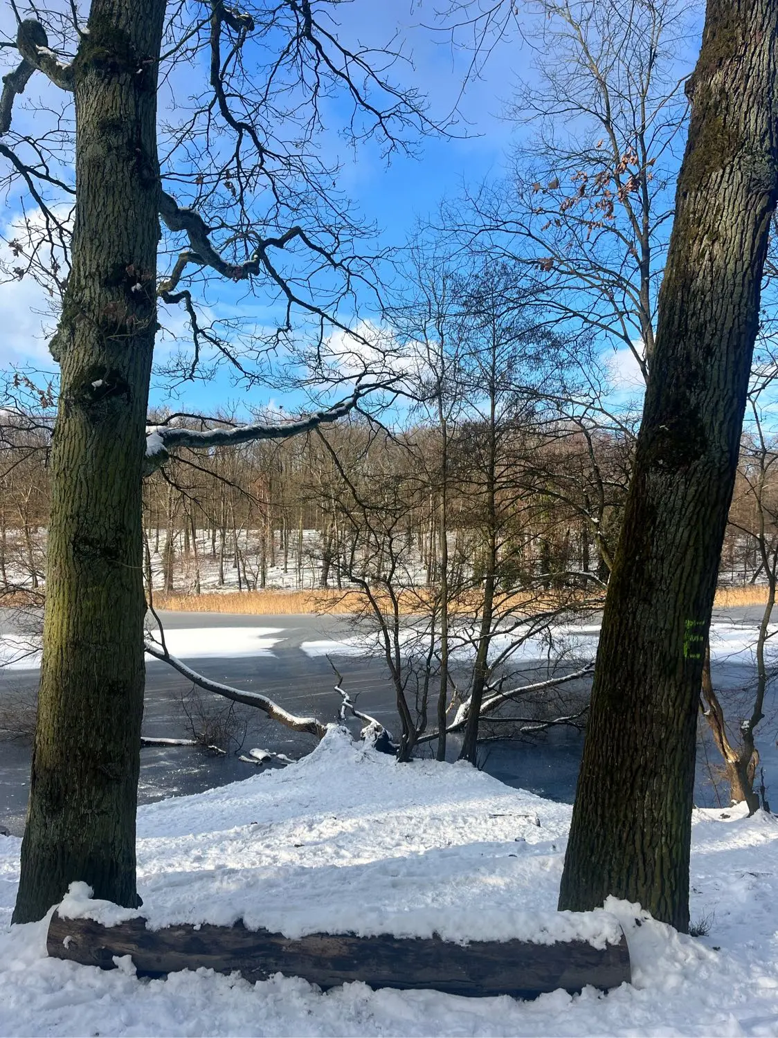 image-4