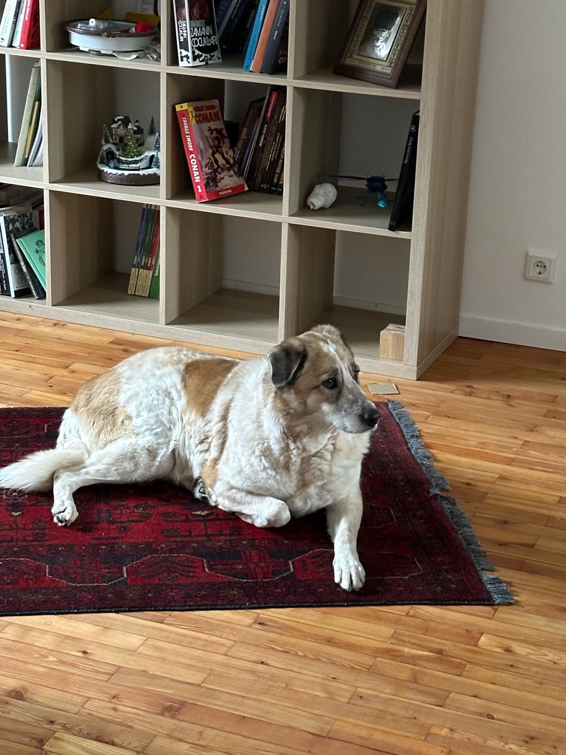 image-8