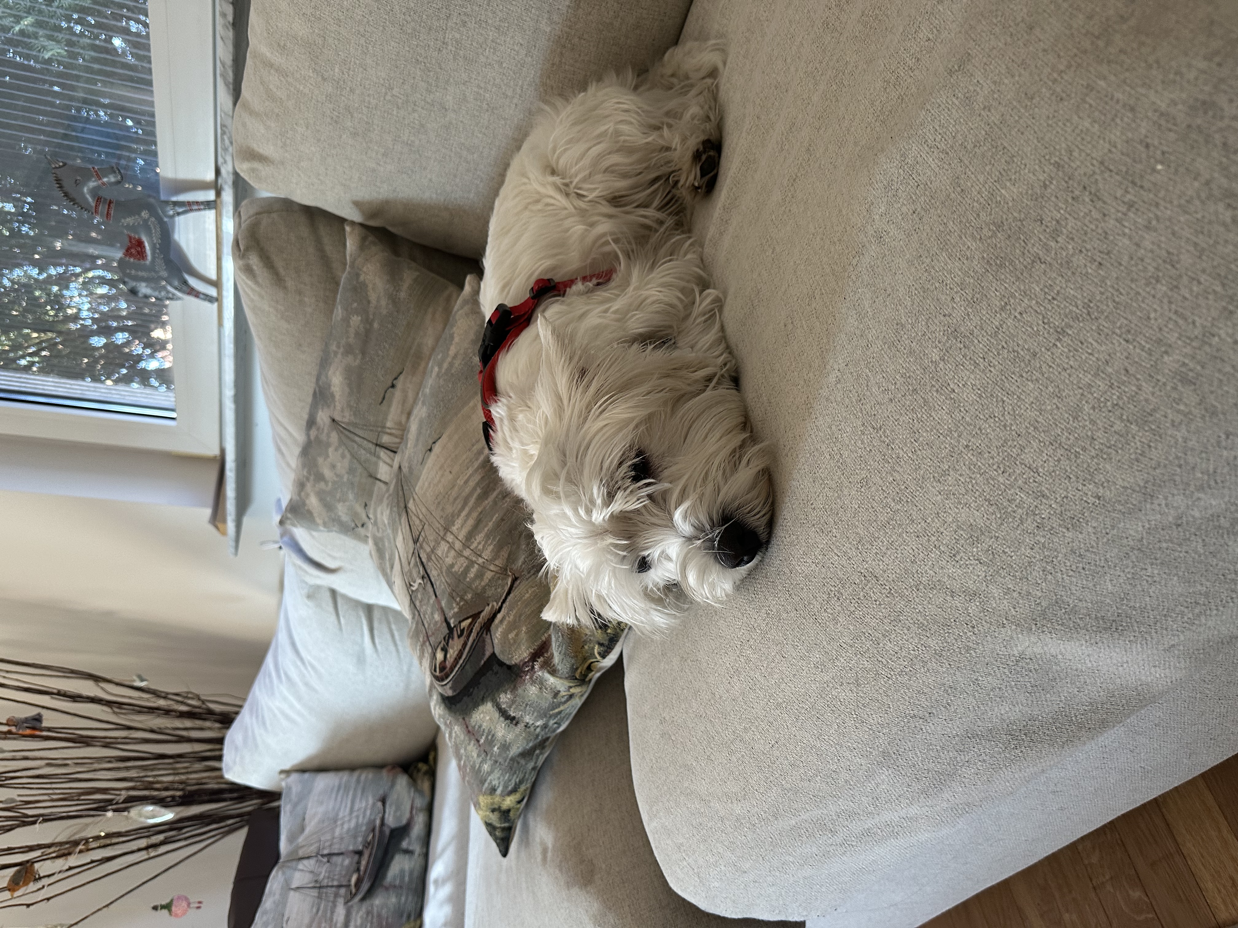 image-28