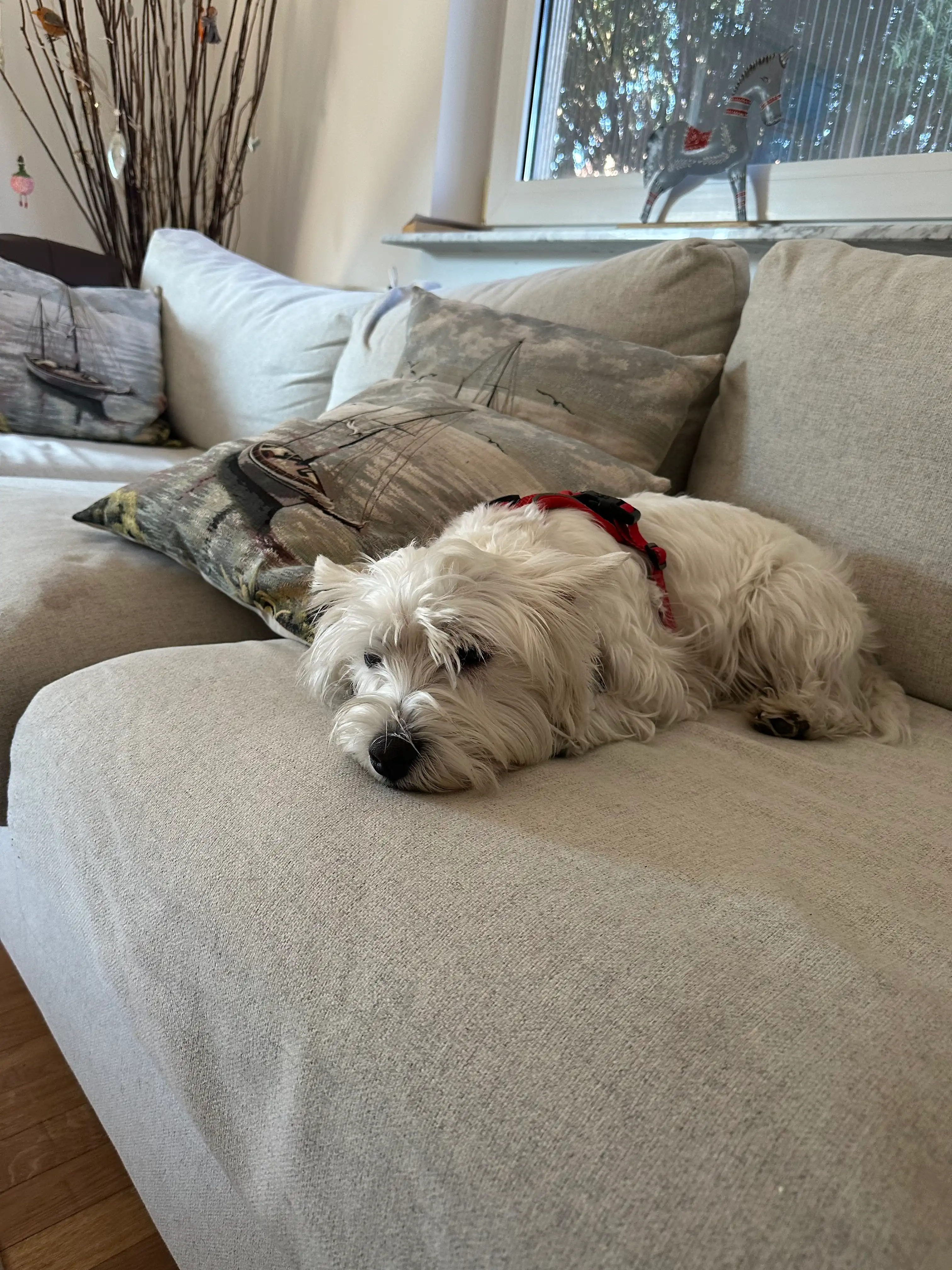 image-28