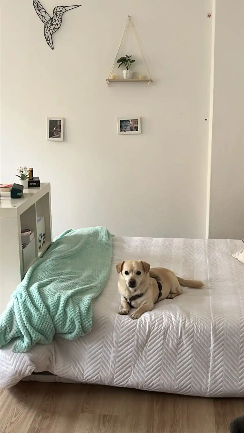 image-9