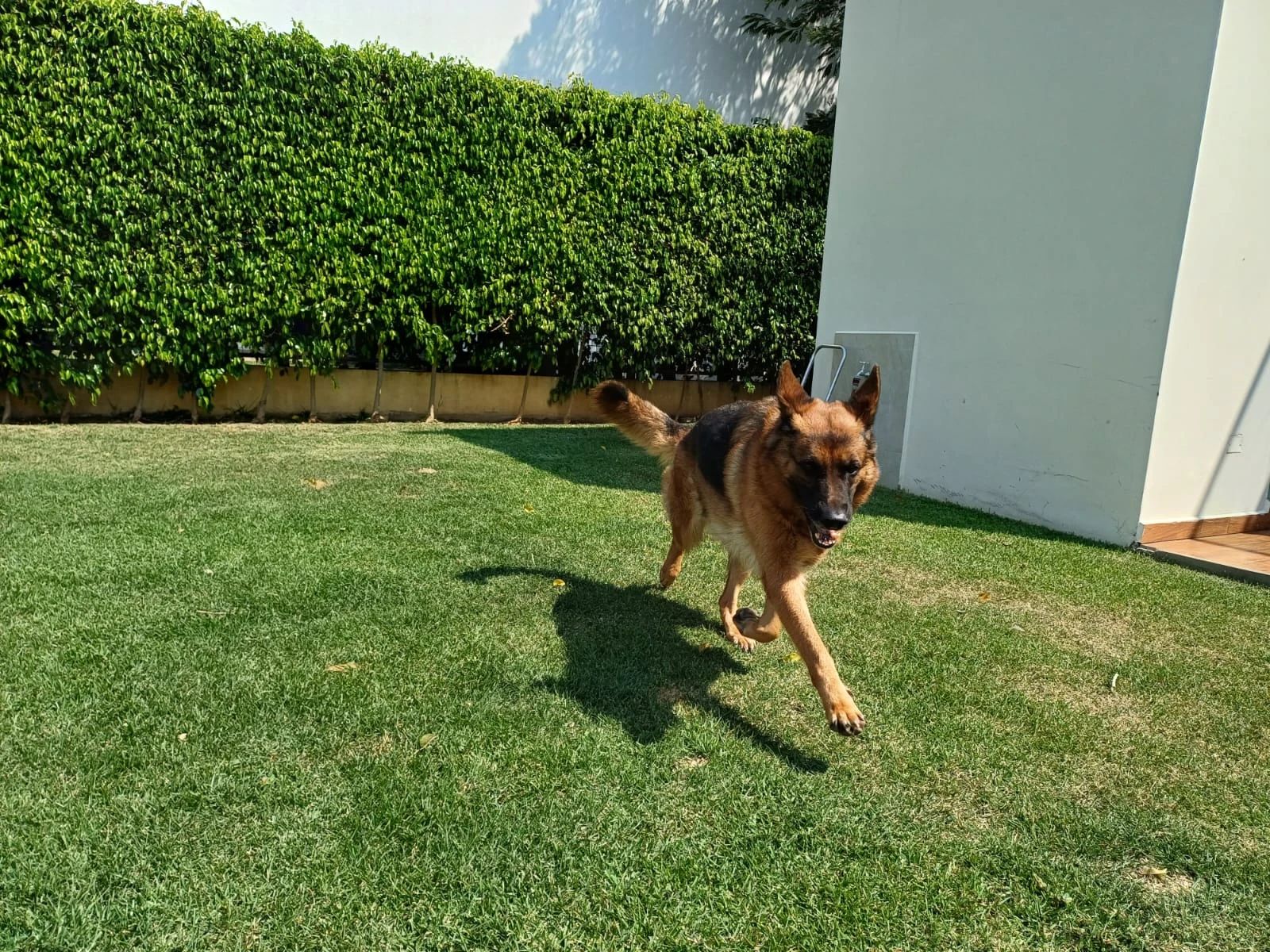 image-10