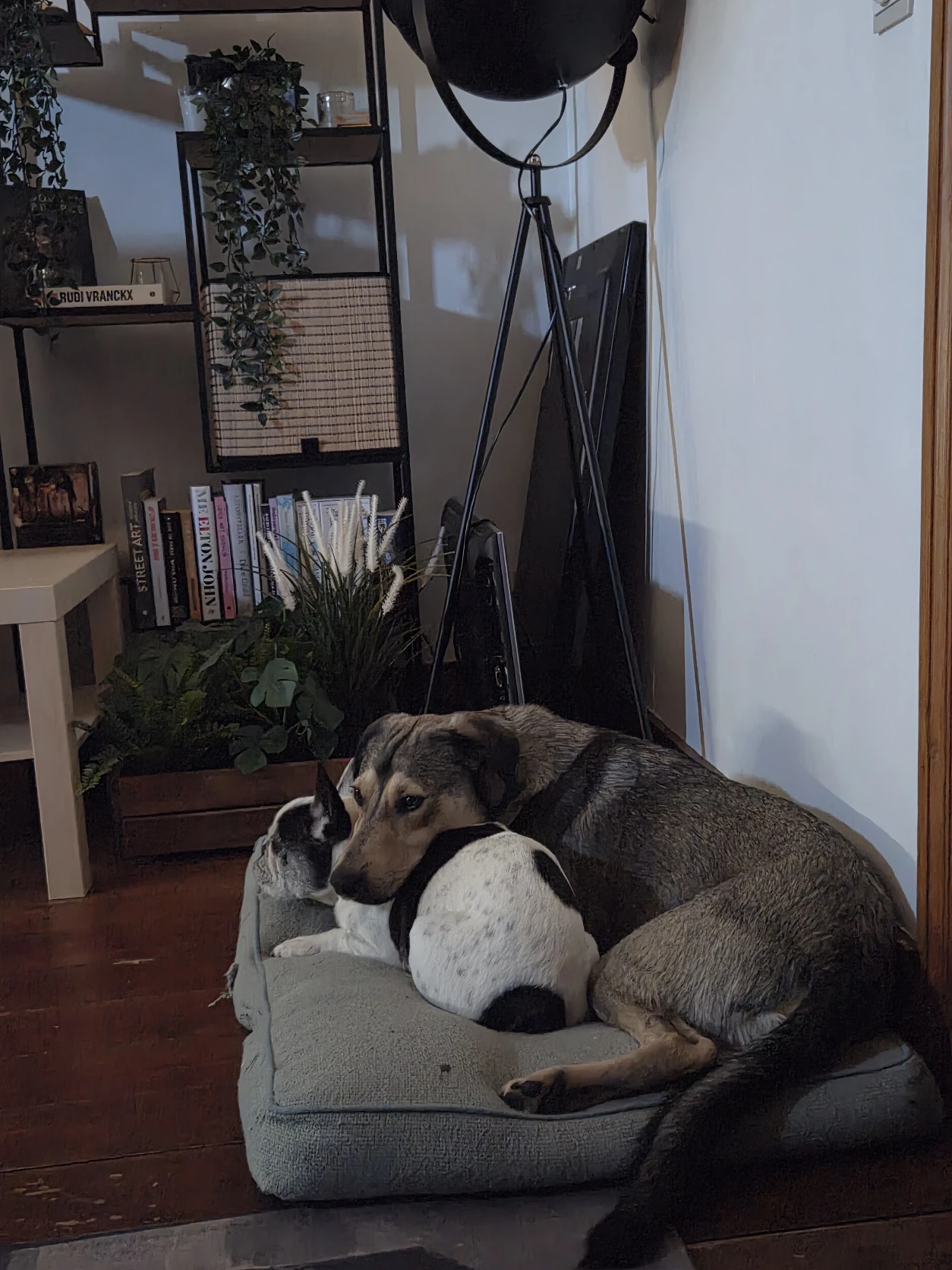 image-11