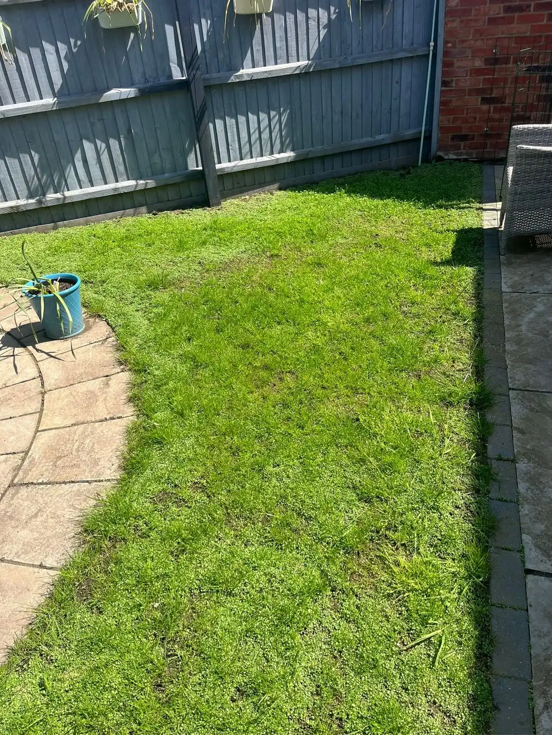 image-5