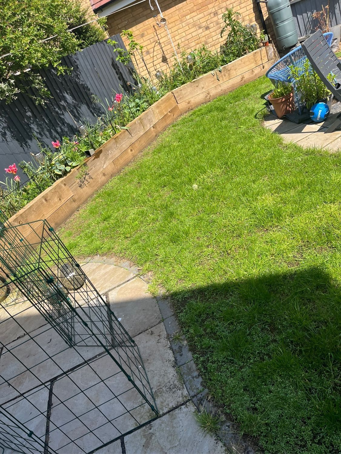 image-6