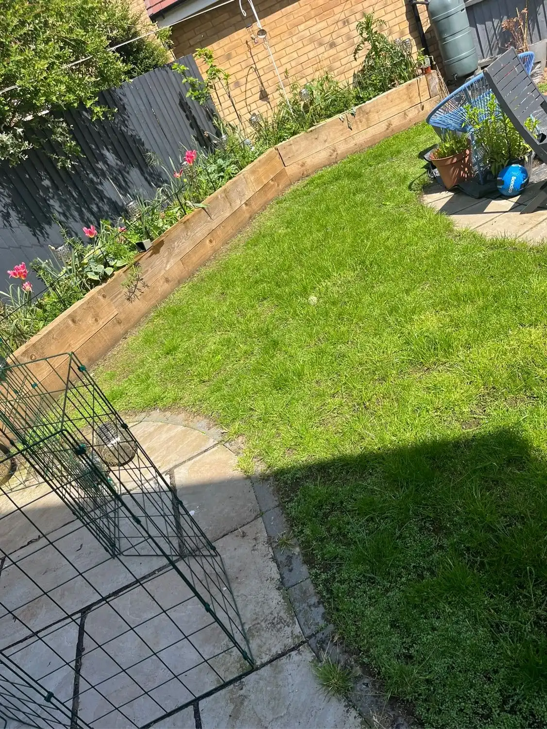 image-6