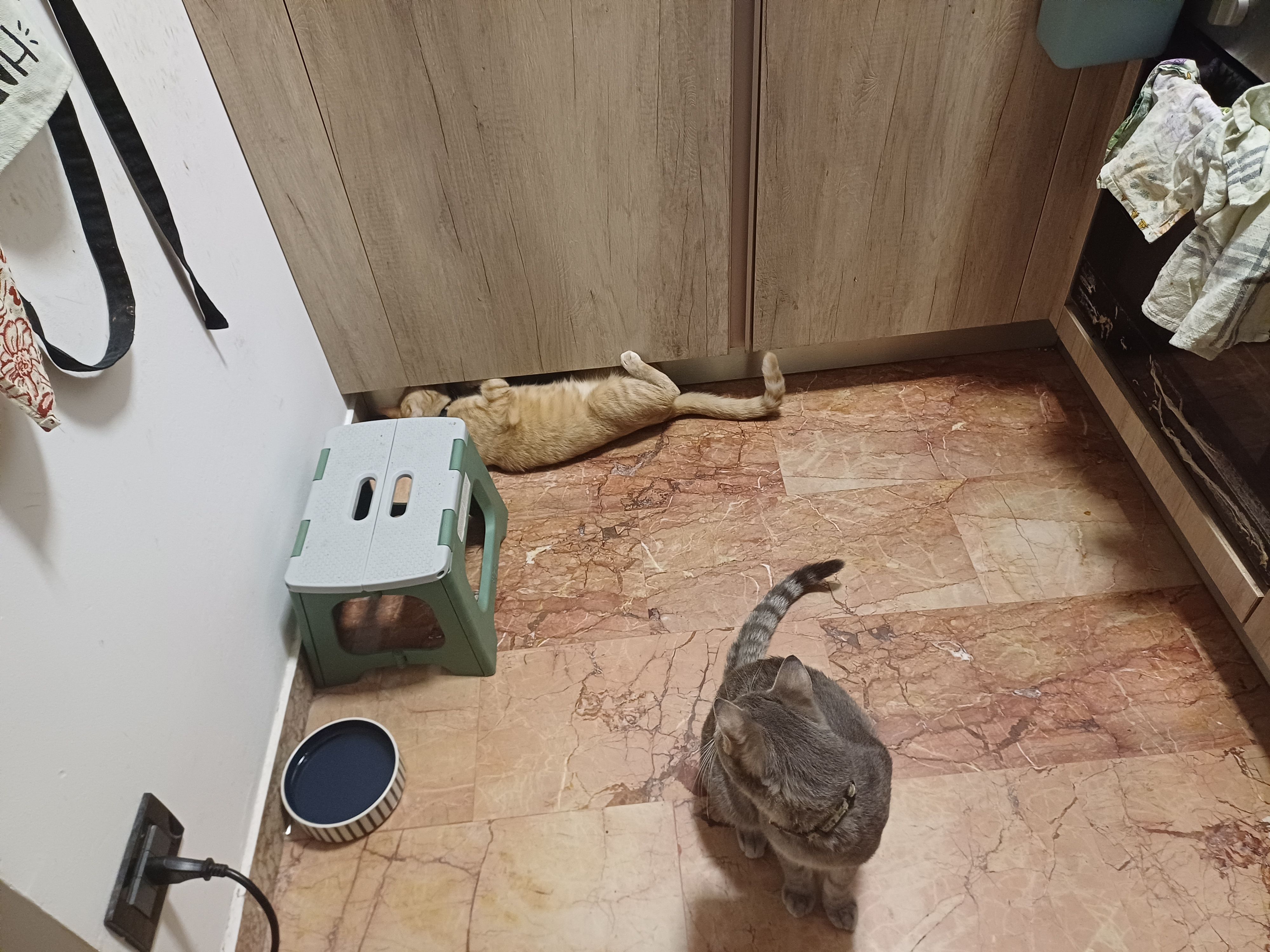 image-13
