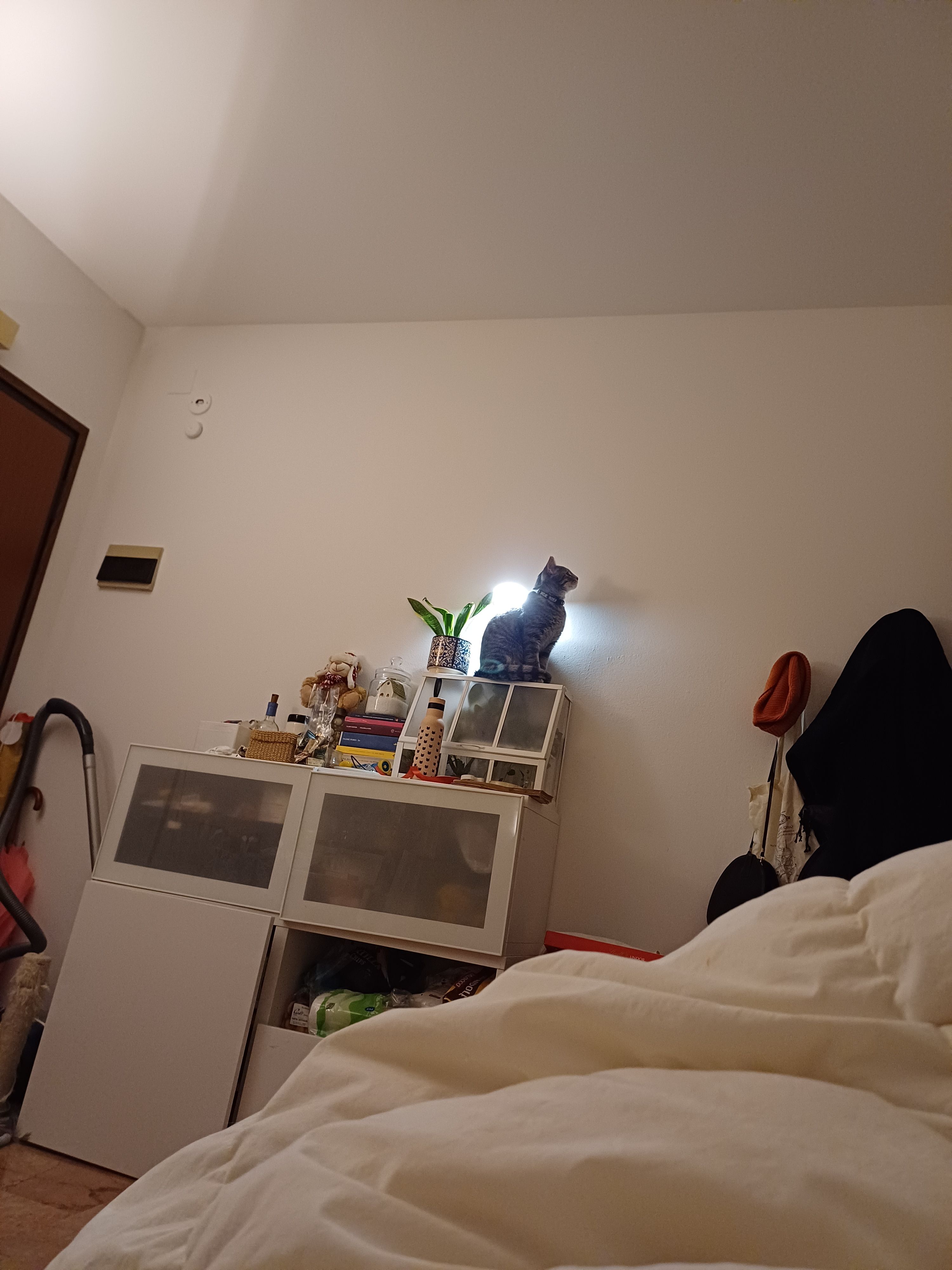 image-18