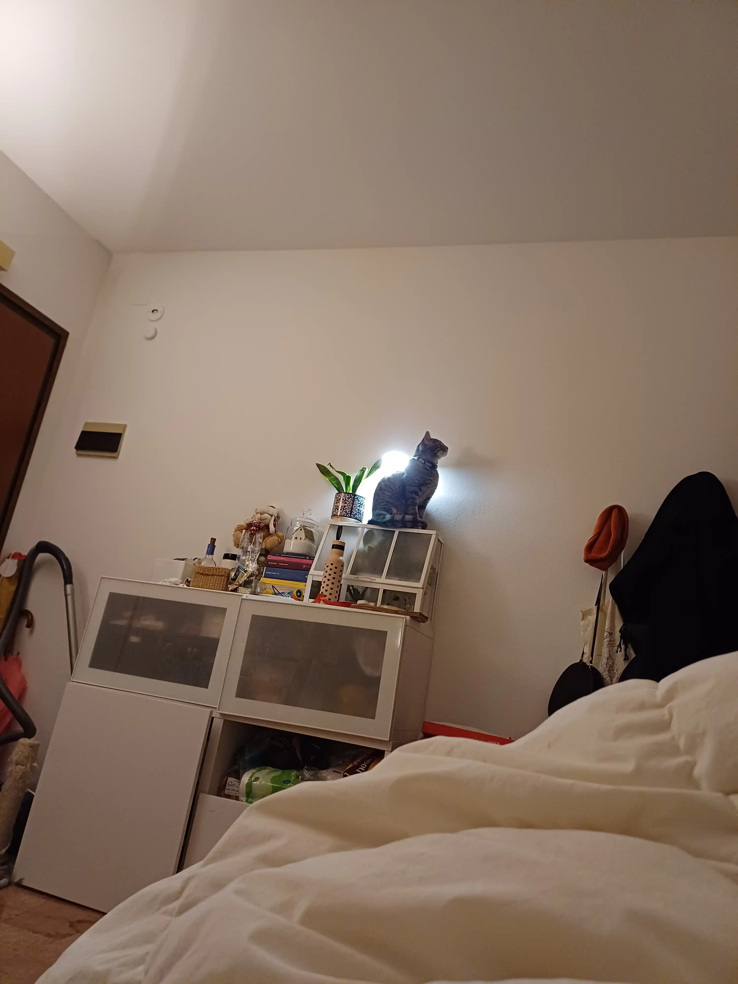 image-18