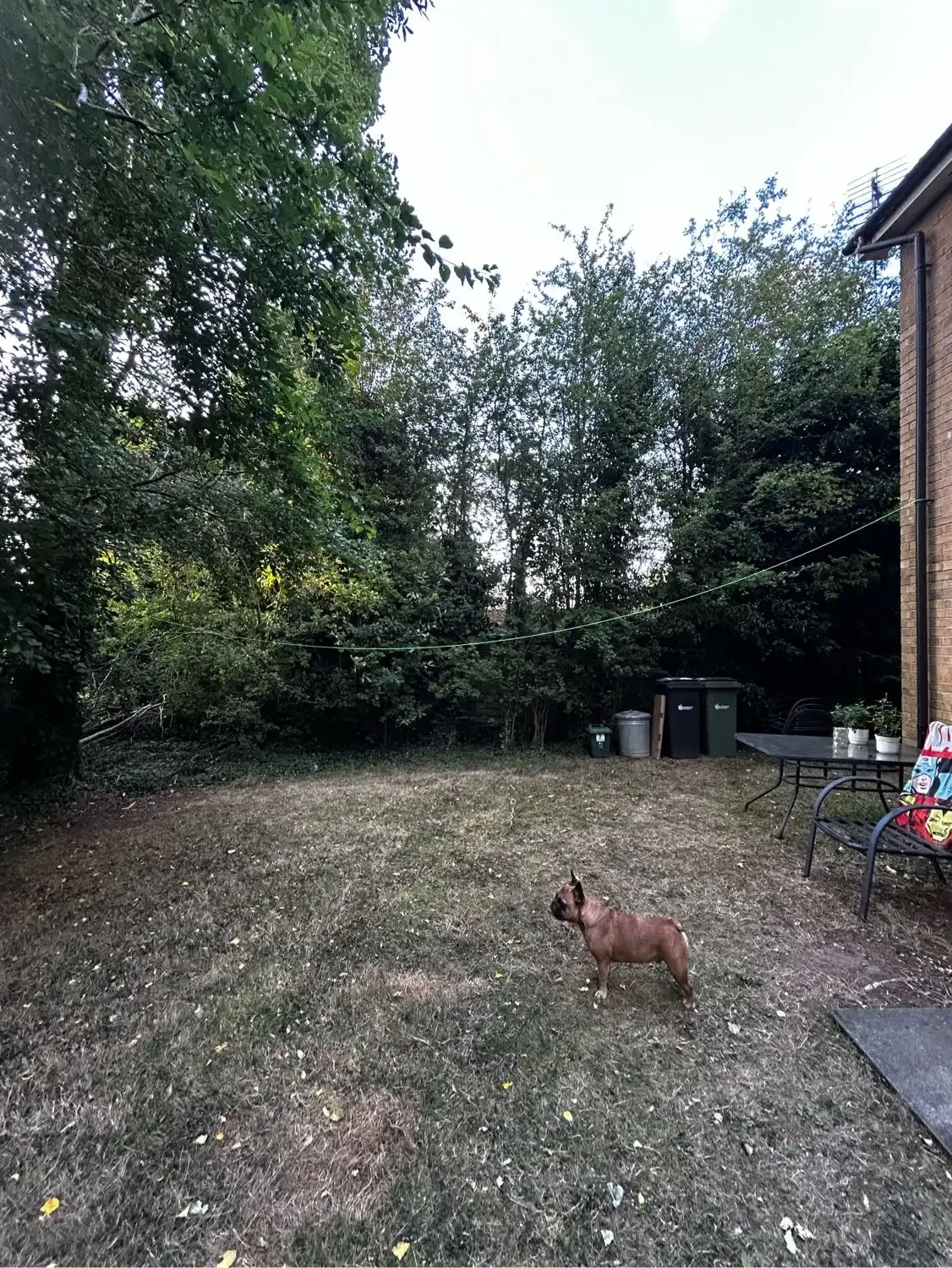 image-5