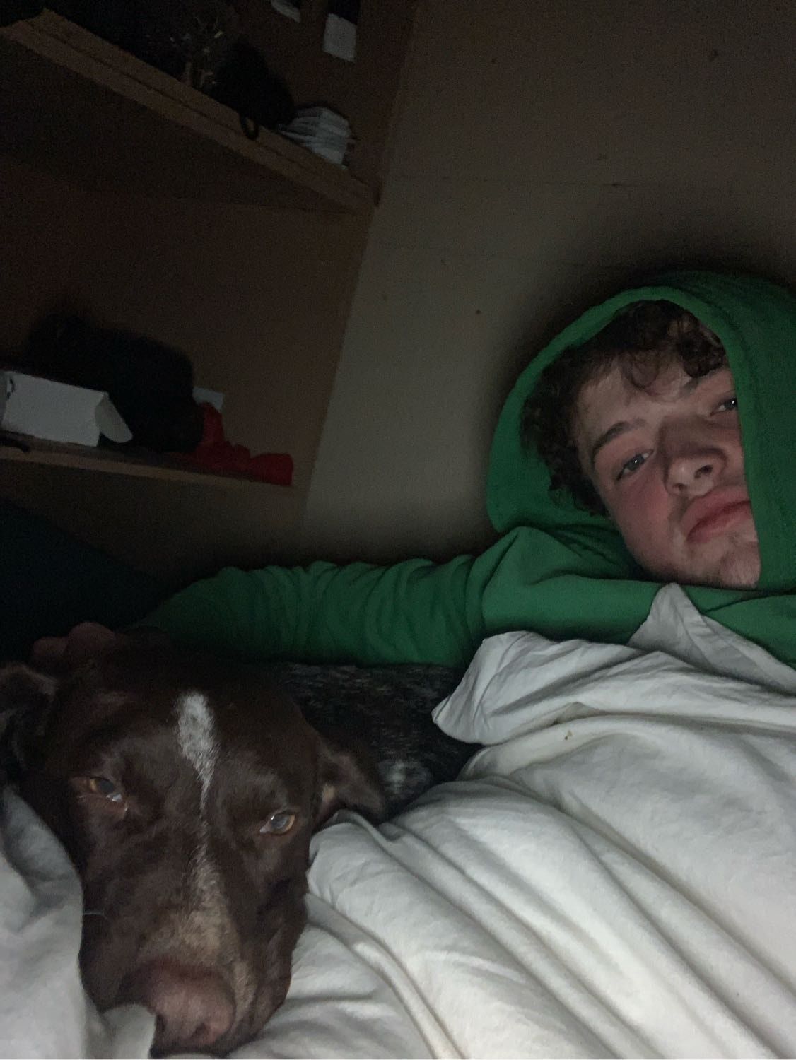 image-6