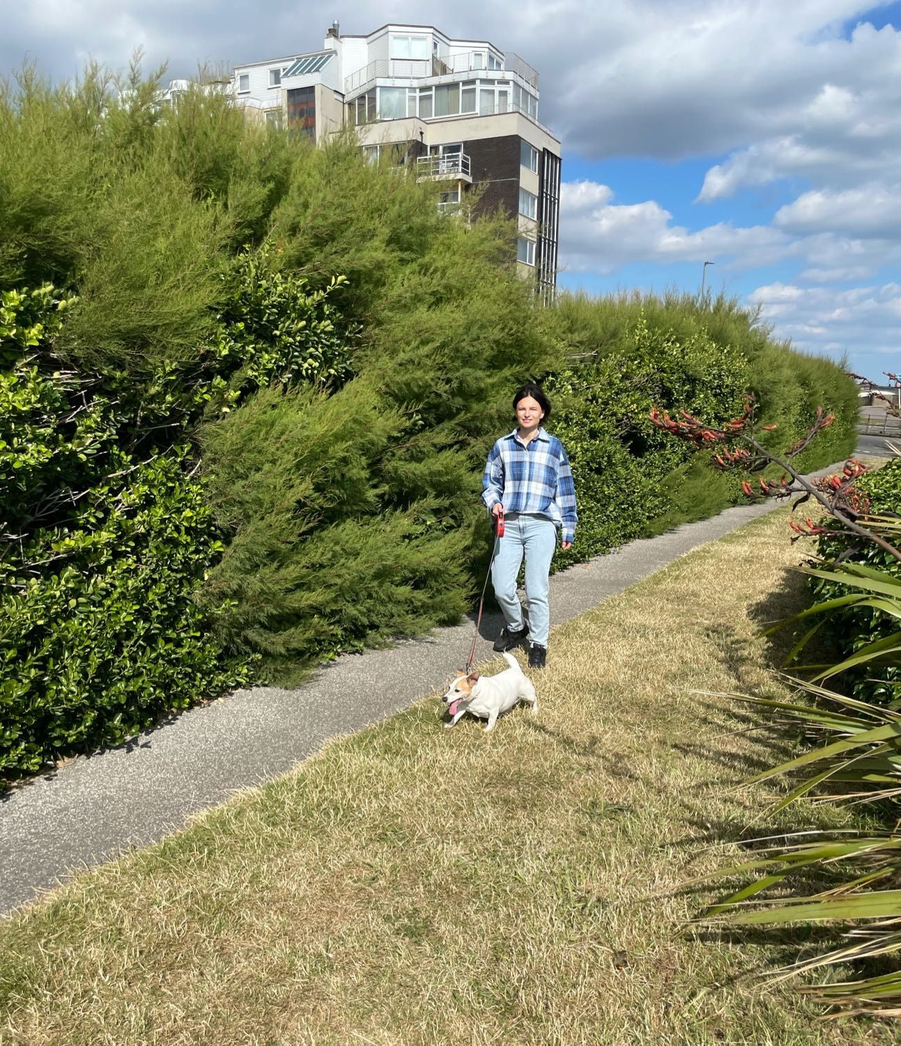 image-2
