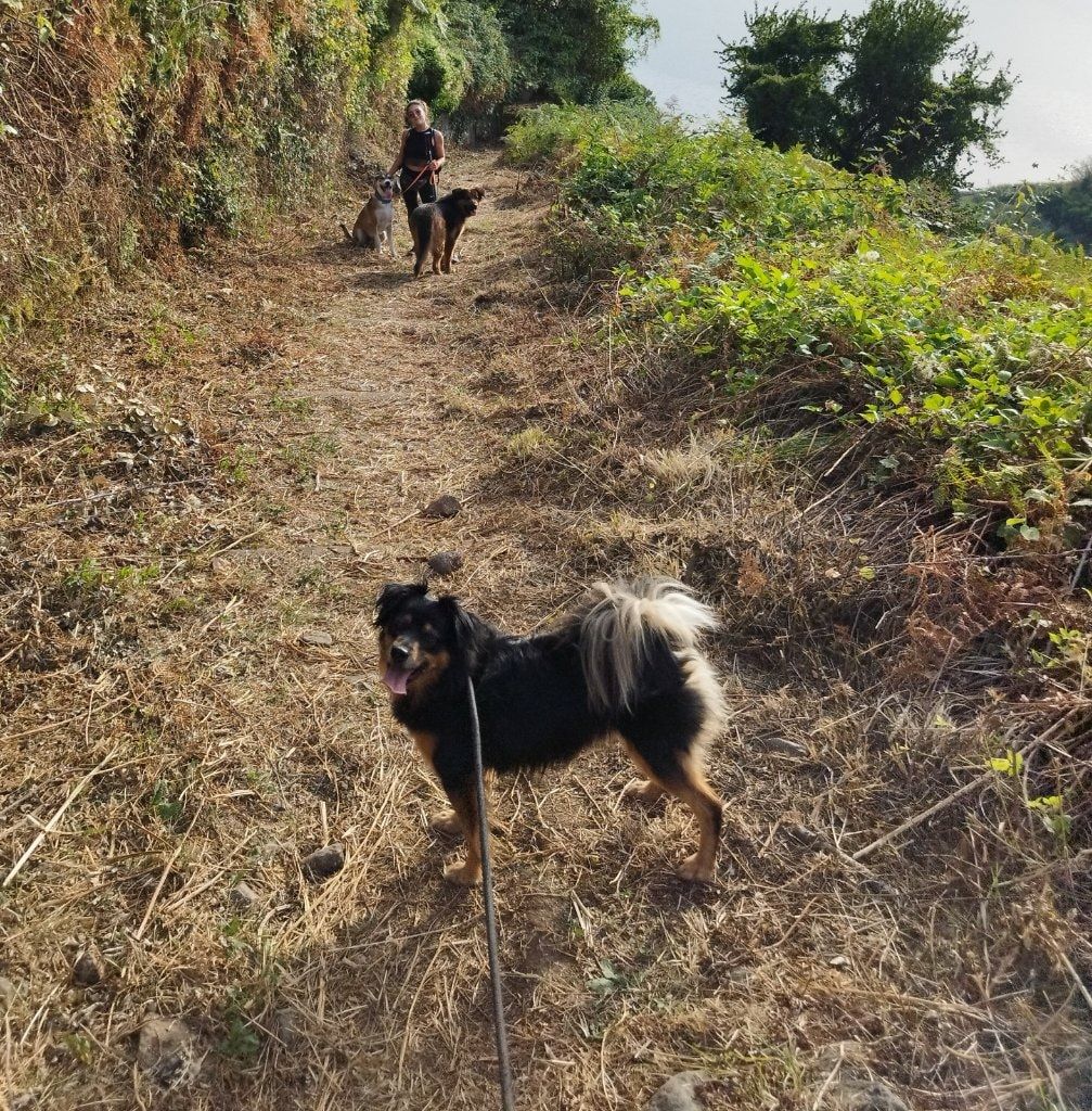 image-9